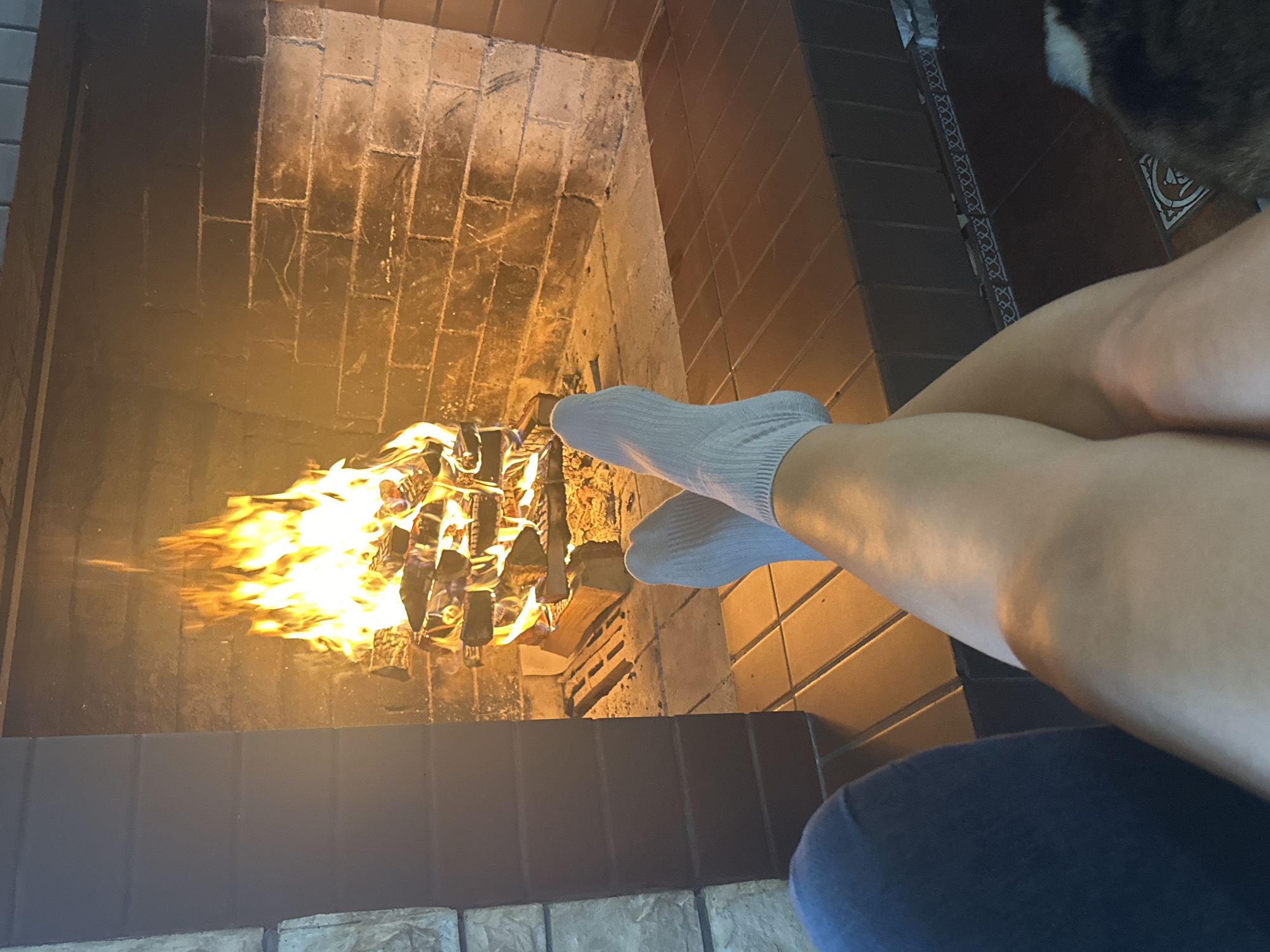 The image shows a fireplace with a burning fire. A person wearing socks is sitting in front of the fireplace with their legs crossed. The scene is indoors, possibly in a home. The bricks of the fireplace appear to be of standard construction. There is a blue object in the foreground, likely clothing. There is a dog visible at the top right. There is no indication of location or city.