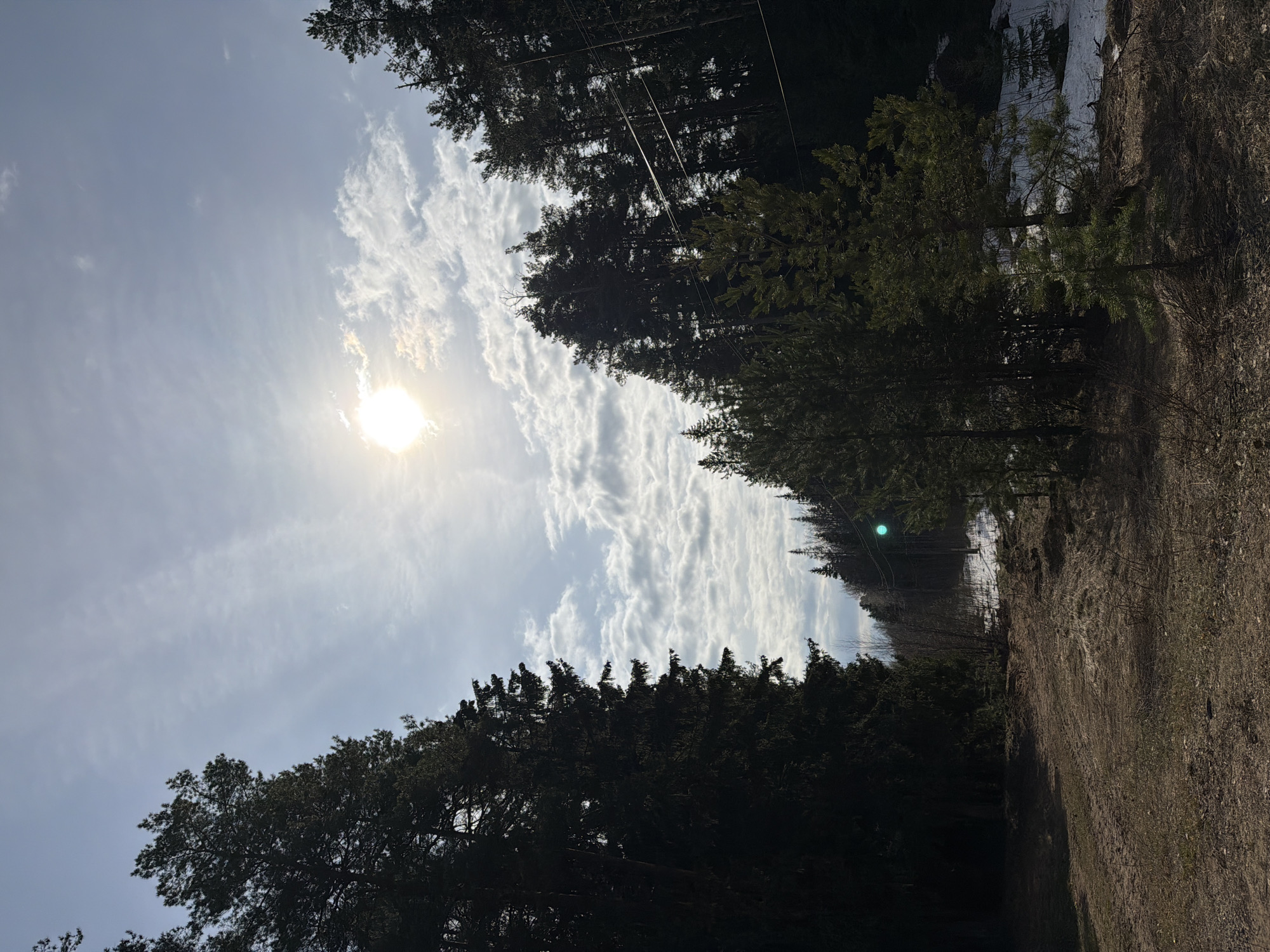 The image depicts a forest path on a sunny day in Chaikovsky, Russia. The sky is a light blue with scattered white clouds, and the sun is visible in the upper left portion of the frame. Tall evergreen trees line both sides of the path, some casting shadows. The path itself is made of dirt and dried vegetation. Patches of snow are visible along the path towards the center. Power lines run above the trees. No people are visible.