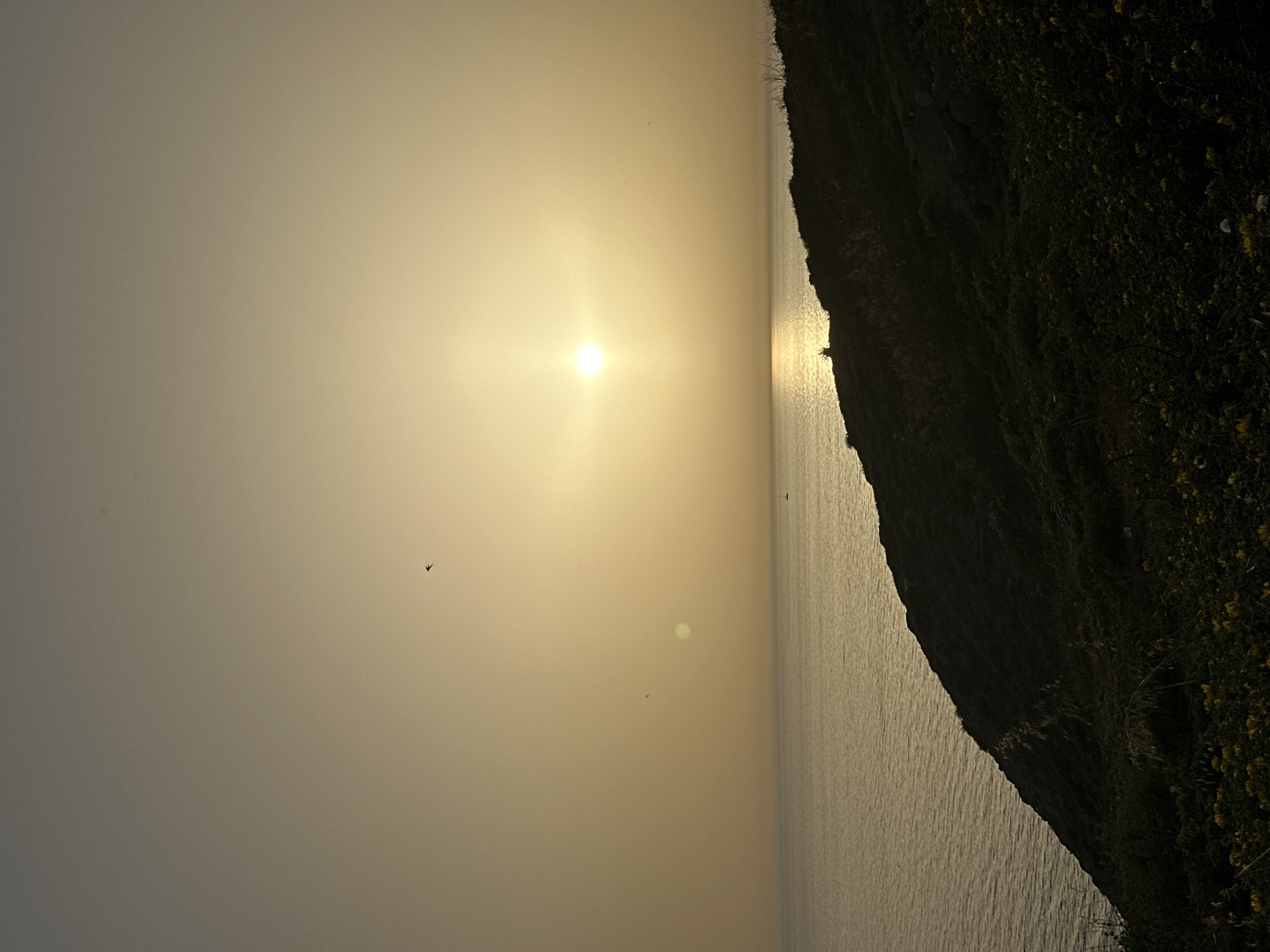 A hazy sunset scene, likely taken near the coast. The sun is positioned in the center, diffused by a hazy sky. The sea appears calm and reflects the sunlight. A dark, vegetation-covered cliff or slope is on the right side. The picture might be taken in Tel-Aviv, Israel, due to the coastal environment. There are tiny objects (possibly birds) in the sky.