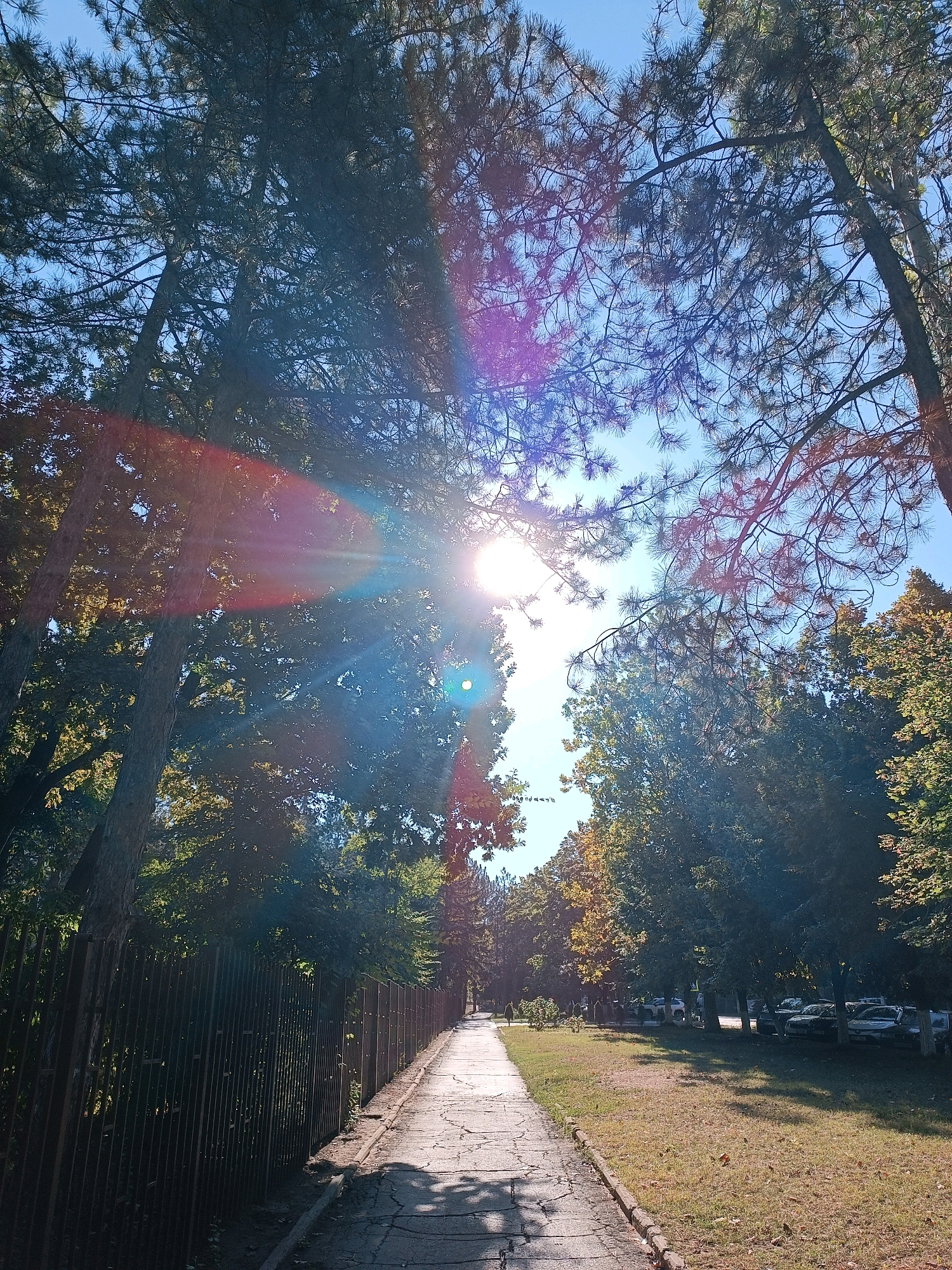 The image depicts a paved pathway lined with trees and a fence on the left, and a grassy area with parked cars on the right. The sun is shining brightly, creating lens flare and casting shadows. The pathway appears to be in a park or a residential area. The vegetation suggests it is either late summer or early autumn. Given the presence of various tree species, the style of fencing, and the architecture of the parked cars, this scene is likely located in Chișinău, Moldova. The overall impression is one of a quiet, sunlit day in an urban green space.