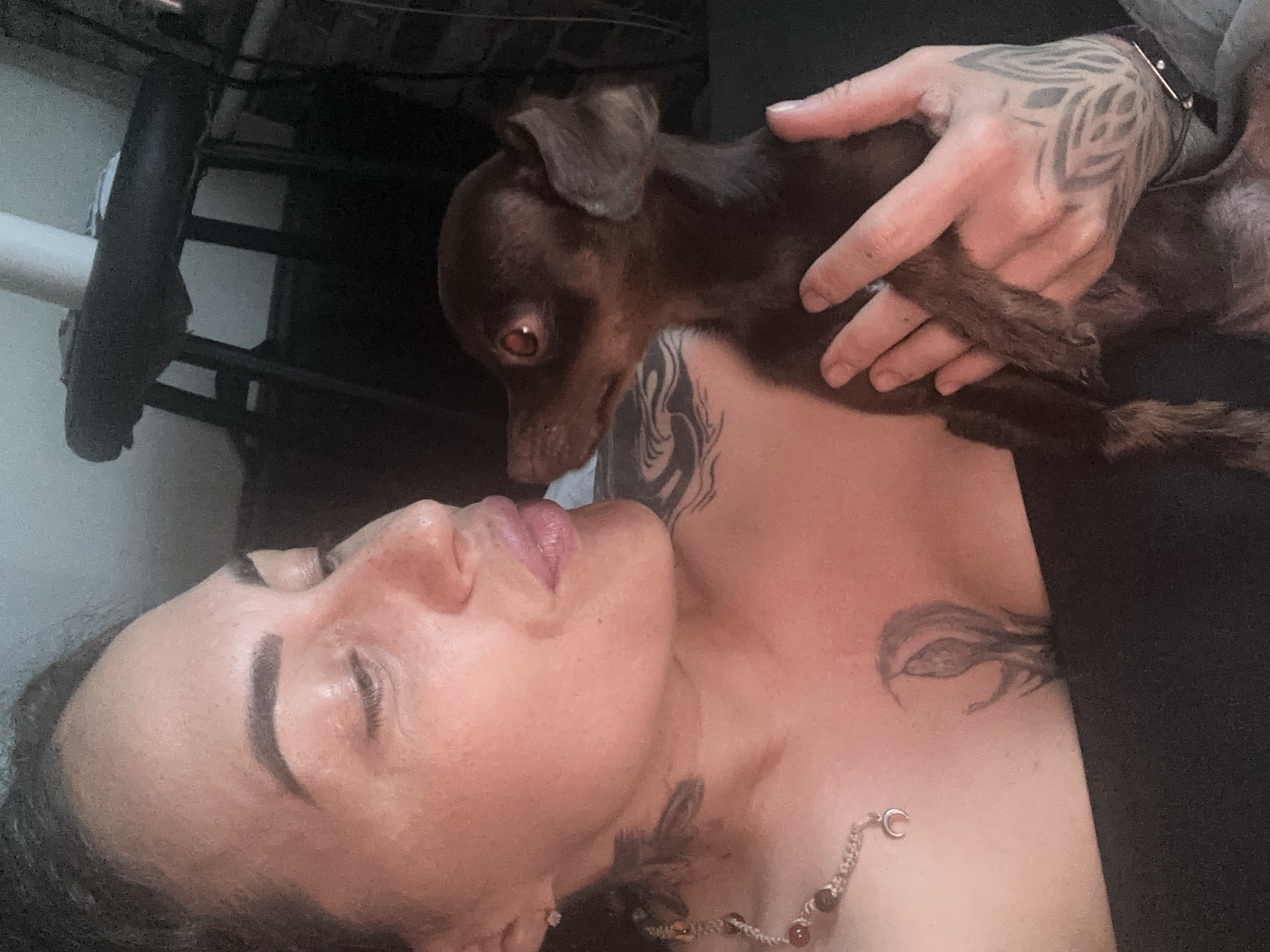 A woman is lying down, with her eyes closed, with a small brown dog perched on her chest. The dog's head is near her face. The woman has tattoos on her neck, chest, and arms. She is wearing a necklace. A hand with tattoos is holding the dog. The background includes a metal frame. The scene appears to be indoors. The location is not discernible as Chaikovsky, Russia, from the image alone.