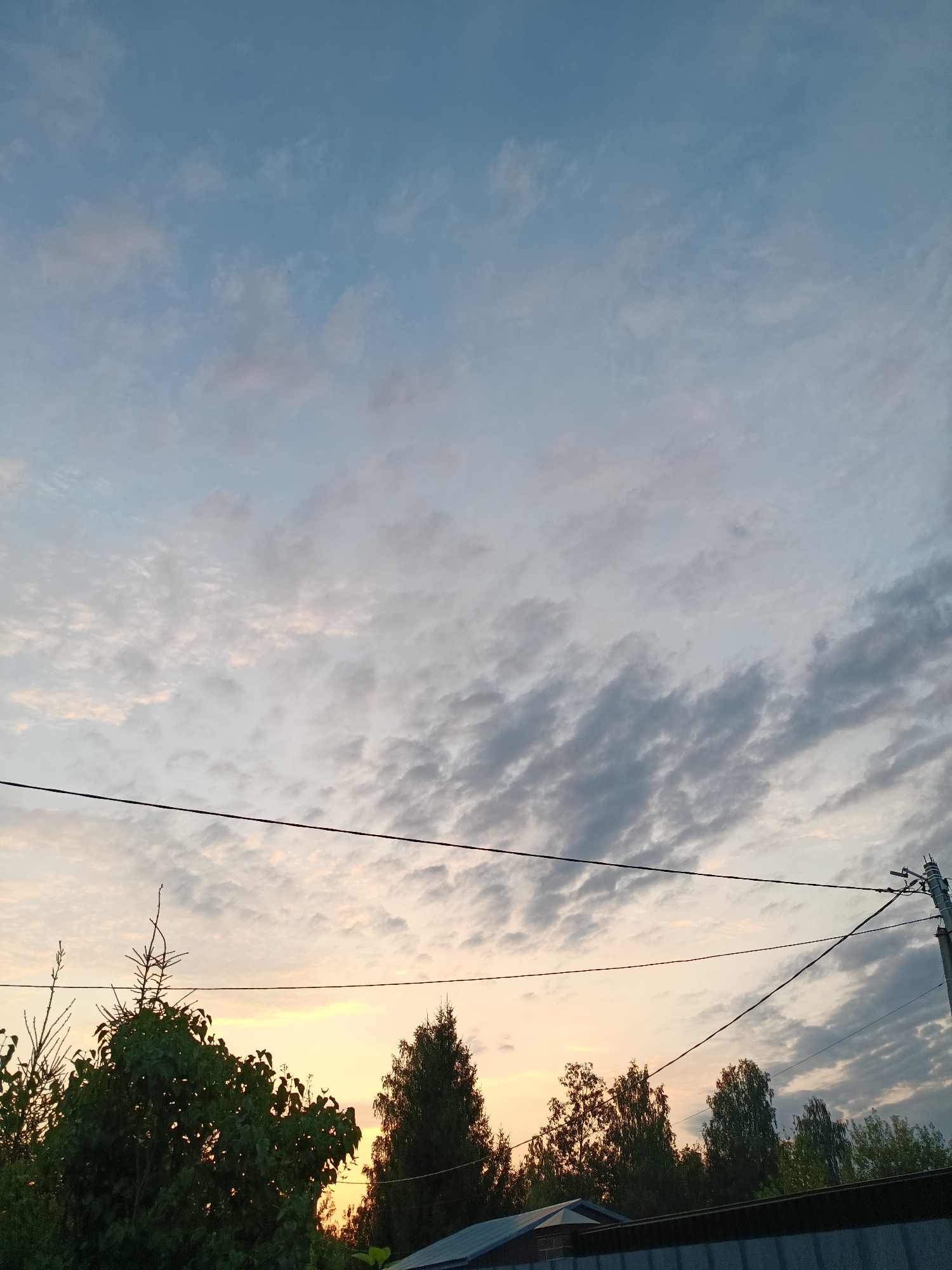 A wide shot captures the sky at dusk over Vereya, Russia, with a gentle gradient of blue fading into a soft orange glow near the horizon. Scattered, wispy clouds streak across the sky, some tinged with pink from the setting sun. In the foreground, silhouetted trees with dark green foliage are visible, interspersed with what appear to be evergreen trees. Power lines stretch horizontally across the middle of the frame, supported by a utility pole on the right side. A dark, horizontal fence or roofline runs along the bottom of the image, partially obscuring the base of the trees. The scene evokes a peaceful, natural setting at the end of the day.