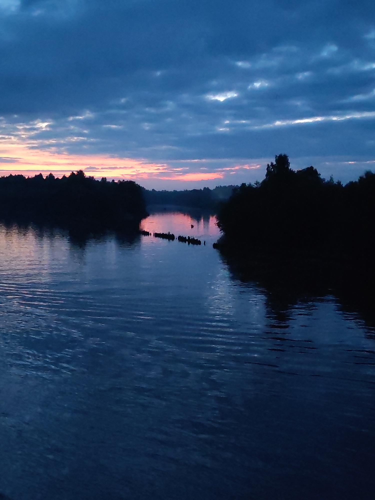 The image depicts a serene river scene at dusk in Annensky Most, Russia. The sky is a deep, moody blue, streaked with wispy clouds that are illuminated by the last remnants of a sunset, casting soft pink and orange hues. Silhouetted against the colorful sky are dense trees and vegetation lining the riverbanks. The river itself is dark and calm, reflecting the twilight sky. Gentle ripples disturb the water's surface, suggesting a slight current or breeze. In the middle distance, a series of dark, submerged objects, possibly wooden posts or remnants of a structure, break the water's surface, creating a subtle, almost abstract pattern. The overall atmosphere is tranquil and somewhat melancholic, characteristic of the fading light of day. There are no people or discernible animals in the image.