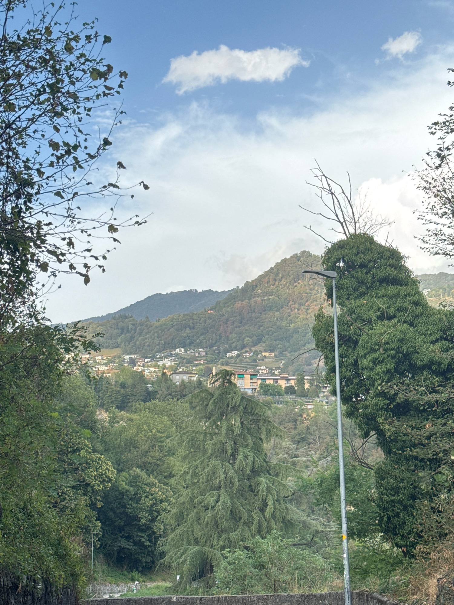 The image depicts a view of Balerna, Switzerland, from a slightly elevated position, looking towards a densely wooded hillside. In the foreground, a street lamp with a yellow marker is prominently visible on the right side. The lamp post is partially obscured by lush green foliage from an adjacent tree. The middle ground reveals a hillside dotted with buildings, indicative of a residential area, nestled amongst the trees. The background is dominated by rolling hills covered in a mix of trees and vegetation, with a partially cloudy blue sky above. The overall scene suggests a natural landscape integrated with a human settlement, common in the Swiss Alps region.