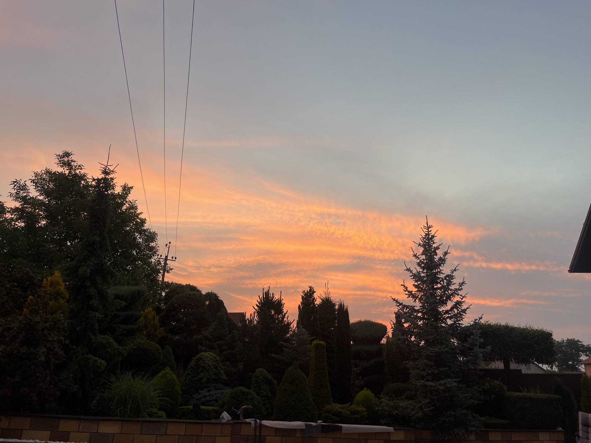 The image depicts a suburban residential scene in Koroviia, Ukraine, during either sunrise or sunset. The sky is filled with dramatic orange and pink clouds, indicating a vibrant display of natural light. In the foreground, a neatly manicured garden is visible, featuring a variety of evergreen trees and shrubs of different shapes and sizes, including several conical and rounded forms. A low, textured brick wall runs along the bottom of the frame, bordering the garden. In the background, silhouetted against the colorful sky, are more trees and the roofs of houses, suggesting a densely populated residential area. Overhead, power lines stretch across the frame, supported by a utility pole visible on the right side of the image. The overall impression is one of tranquility and natural beauty in a developed urban setting.
