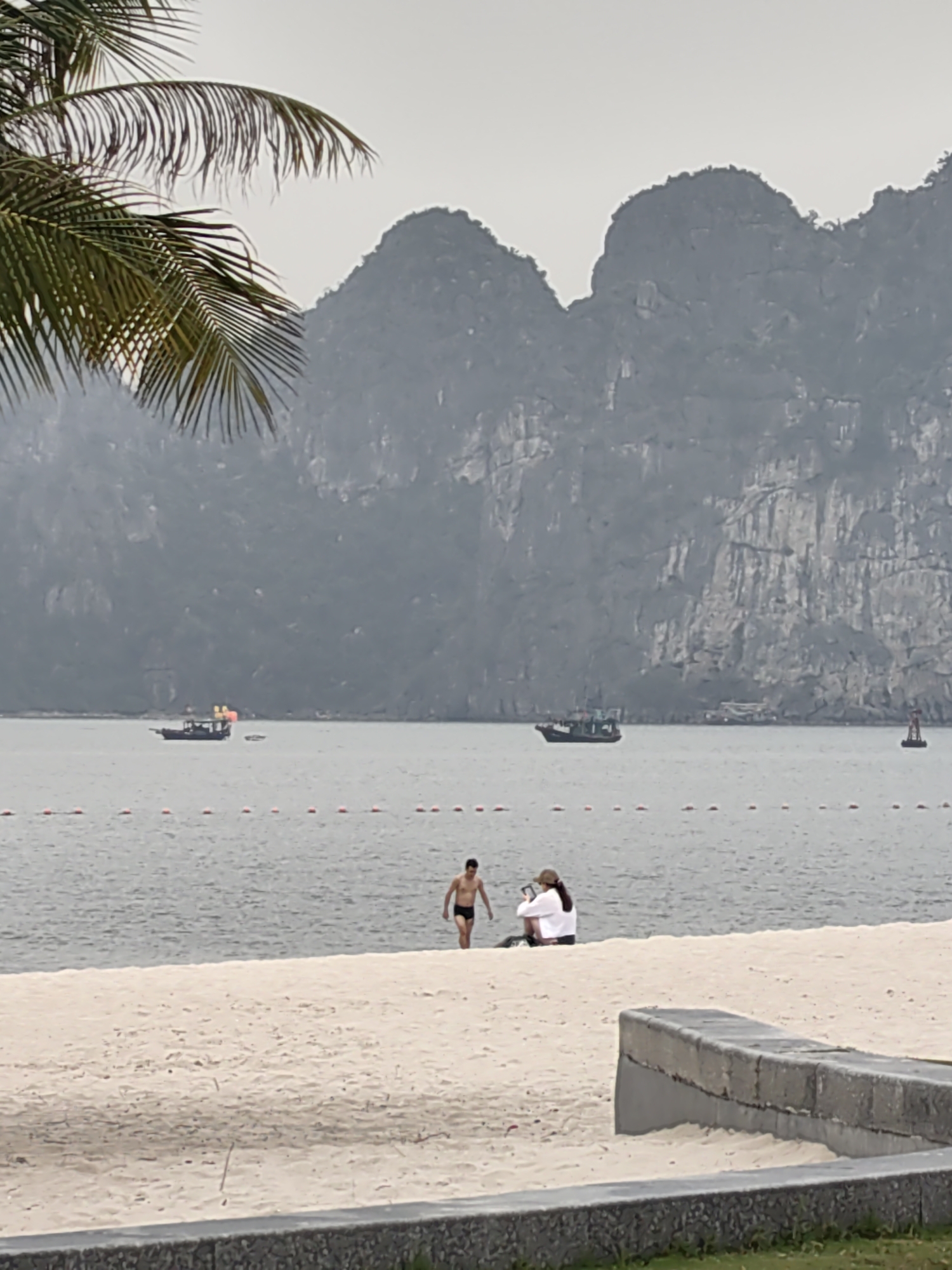 The image depicts a beach scene in Ha Long Ward, Vietnam. In the foreground, a sandy beach stretches toward the water, with a concrete retaining wall at the bottom of the frame. A young man in swimwear walks out of the water, while a person seated on the beach appears to be using a mobile device. Further out in the water are two boats and buoys marking the swimming area. In the background, prominent limestone karsts rise from the bay, shrouded in mist. A palm tree branch partially obscures the upper left corner of the image.