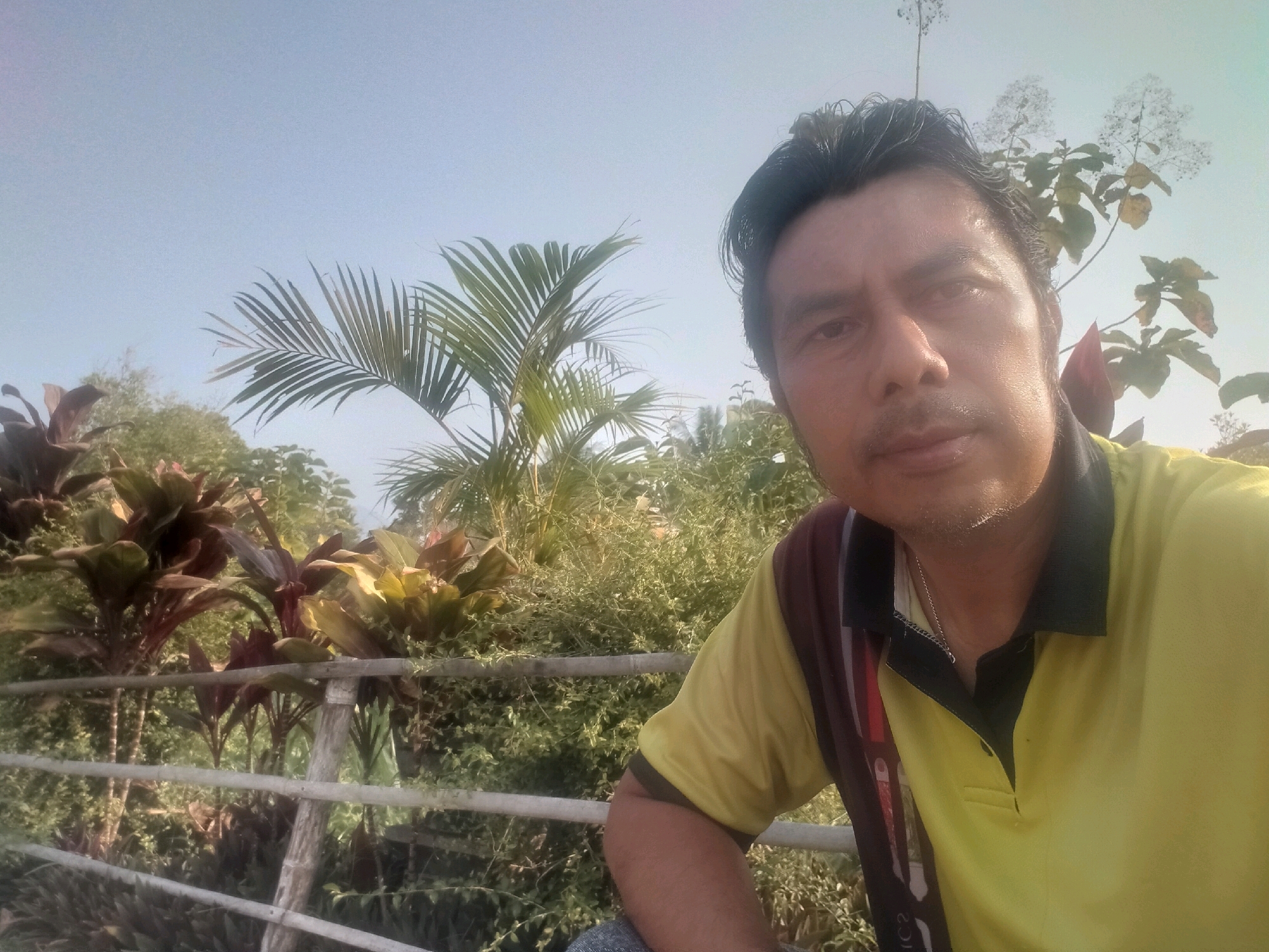 A man, with dark hair and a light complexion, takes a selfie outdoors. He is wearing a yellow collared shirt with black trim. Behind him, lush green vegetation and a clear blue sky are visible. The scene suggests a warm climate, possibly Sawahan, Indonesia, given the tropical flora. A simple metal railing runs across the foreground. The man's face is turned towards the camera, and he appears relaxed.