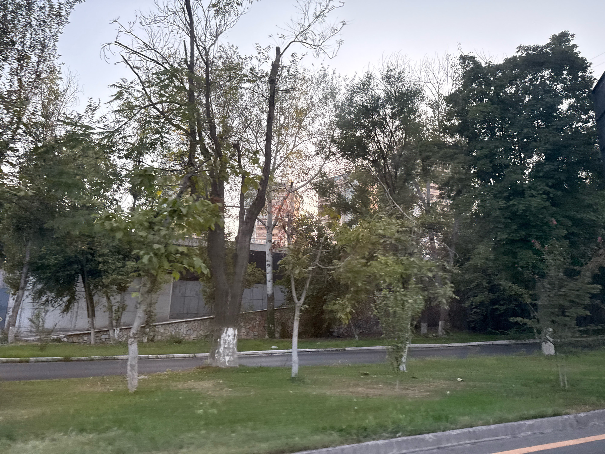 A medium shot captures a treelined street with a building and stone wall in Tashkent, Uzbekistan. The street is paved with asphalt and bordered by a curb and a grassy area. Several trees with sparse leaves stand along the side of the road, some with white-painted bases. In the background, a stone wall is visible, topped with a concrete structure. Behind the wall, a multi-story building with several windows can be seen, with trees in front of it. The sky above is a pale gray, indicating it is either early morning or late evening. The overall scene suggests a quiet, urban setting with a focus on greenery and architecture.
