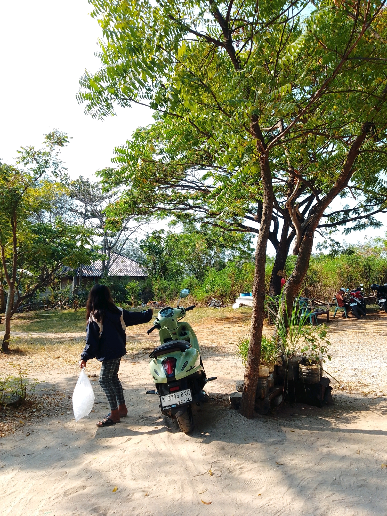 A young girl with long dark hair, wearing a dark blue jacket with white stripes and plaid pants, stands in a sandy, outdoor area holding a white plastic bag. She is facing away from the camera, looking towards a light green scooter parked to her right. The scooter has a license plate that reads "K 3796 BXC 10-10". In the background, there is a building with a tiled roof and lush green foliage. Several other motorcycles are visible parked further in the background, along with chairs and tables. The scene appears to be in the city of Cikal, Indonesia, given the style of the house, vegetation, and the motorcycle license plate format, which is typical for East Java, Indonesia, and Cikal is a location within East Java. The ground is a mix of sand and dirt, with scattered leaves. Sunlight casts shadows from the trees onto the ground, indicating a bright, sunny day. The overall environment is rural and appears to be an open, unpaved area with trees and vegetation.