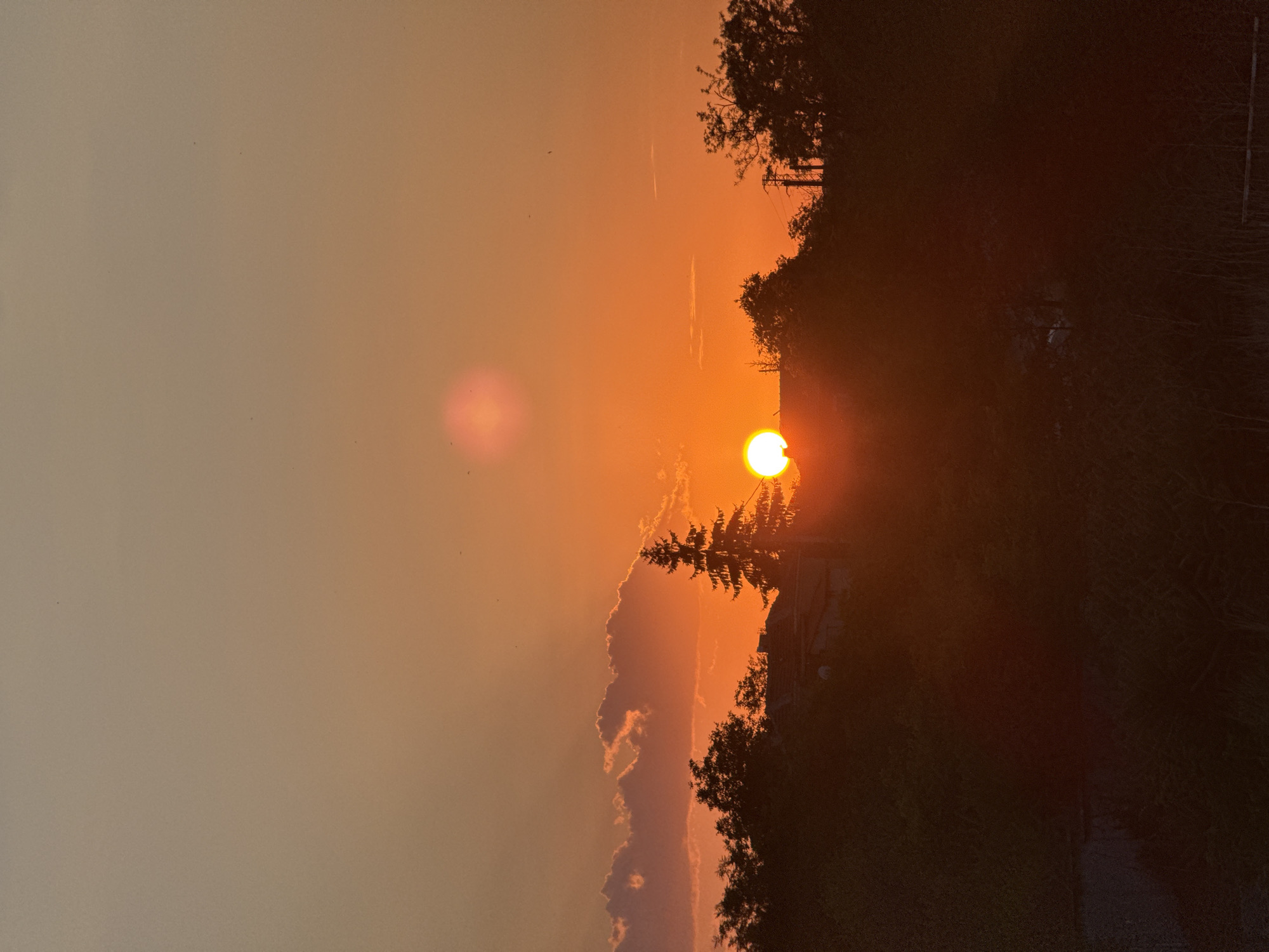 A vertical, silhouetted shot captures a sunset over Ekzarh Antimovo, Bulgaria. The sun, a bright orange orb, is partially obscured by a dark, jagged treeline in the foreground. A tall, slender pine tree stands out from the foliage, positioned slightly to the left of the sun's center. Above the treeline, hints of houses and a power line are visible against the orange sky. Scattered clouds, tinged with pink and orange, dot the horizon. A faint, reddish circular lens flare hovers in the upper portion of the frame. The overall impression is one of a peaceful, rural evening.