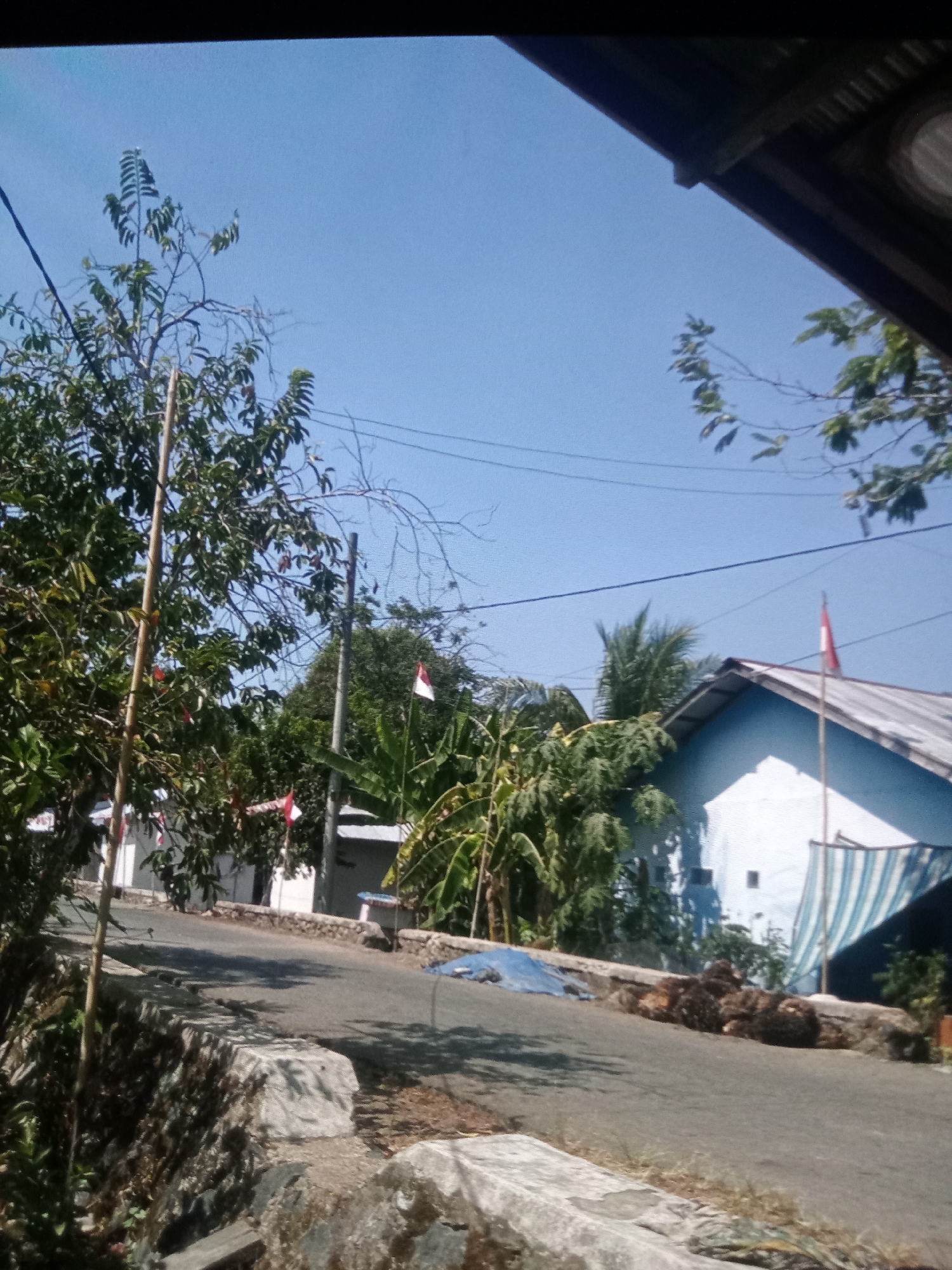 The image depicts a street scene in a rural or semi-rural area, likely in Pendalaman, Indonesia, under a clear blue sky. A paved road curves through the scene. On the left side of the road, a stone retaining wall topped with vegetation lines the bank, with a large tree featuring green leaves and some dry branches in the foreground. Further down the road on the left, there are several white buildings with some red and white flags displayed. On the right side of the road, a light blue house with a corrugated metal roof is visible, also adorned with a red and white flag. In front of the house, there is a striped blue and white awning or tarpaulin. The ground near the road on the right side of the image is covered with piles of what appear to be dried organic matter, possibly agricultural produce or waste. The overall impression is one of a community preparing for or celebrating an event, given the presence of numerous flags.