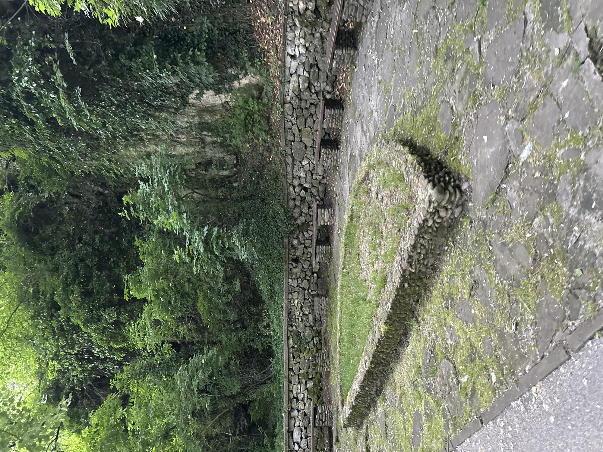 The image shows a path in Lovech, Bulgaria. On the left side is a stone wall covered in greenery, with trees and dense vegetation behind it. To the right of the wall is a stone pathway, followed by a strip of grass delineated by a border of small, rounded stones. Further to the right, the path continues with more stone paving. The image is taken from a low angle, with the camera pointing slightly upwards.