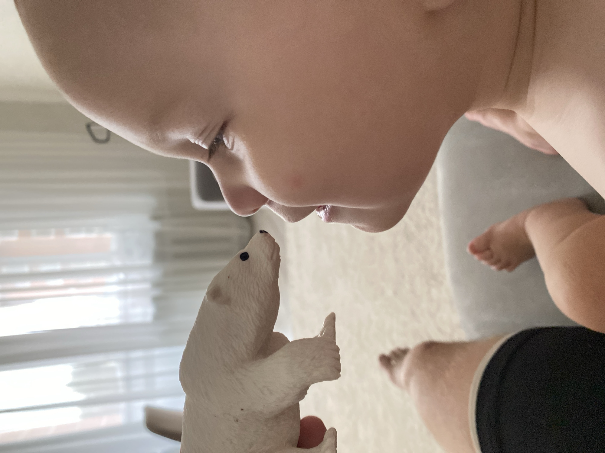 In a close-up, indoor shot, a young child's profile is visible as they interact with a toy polar bear. The child, whose head is mostly in focus, looks towards the toy with an engaged expression. Their skin is fair, and they have a round face with visible eyelashes and a hint of a smile. The toy polar bear, held by an unseen hand in the foreground, is positioned near the child's face, appearing to be in mid-interaction, possibly a sniff or gentle touch. The background consists of soft, blurred elements, including what appears to be sheer white curtains and possibly furniture, suggesting a domestic setting within Chaikovsky, Russia. The lighting is soft, coming from an unseen source, likely natural light from a window. The composition emphasizes the intimate moment between the child and the toy.
