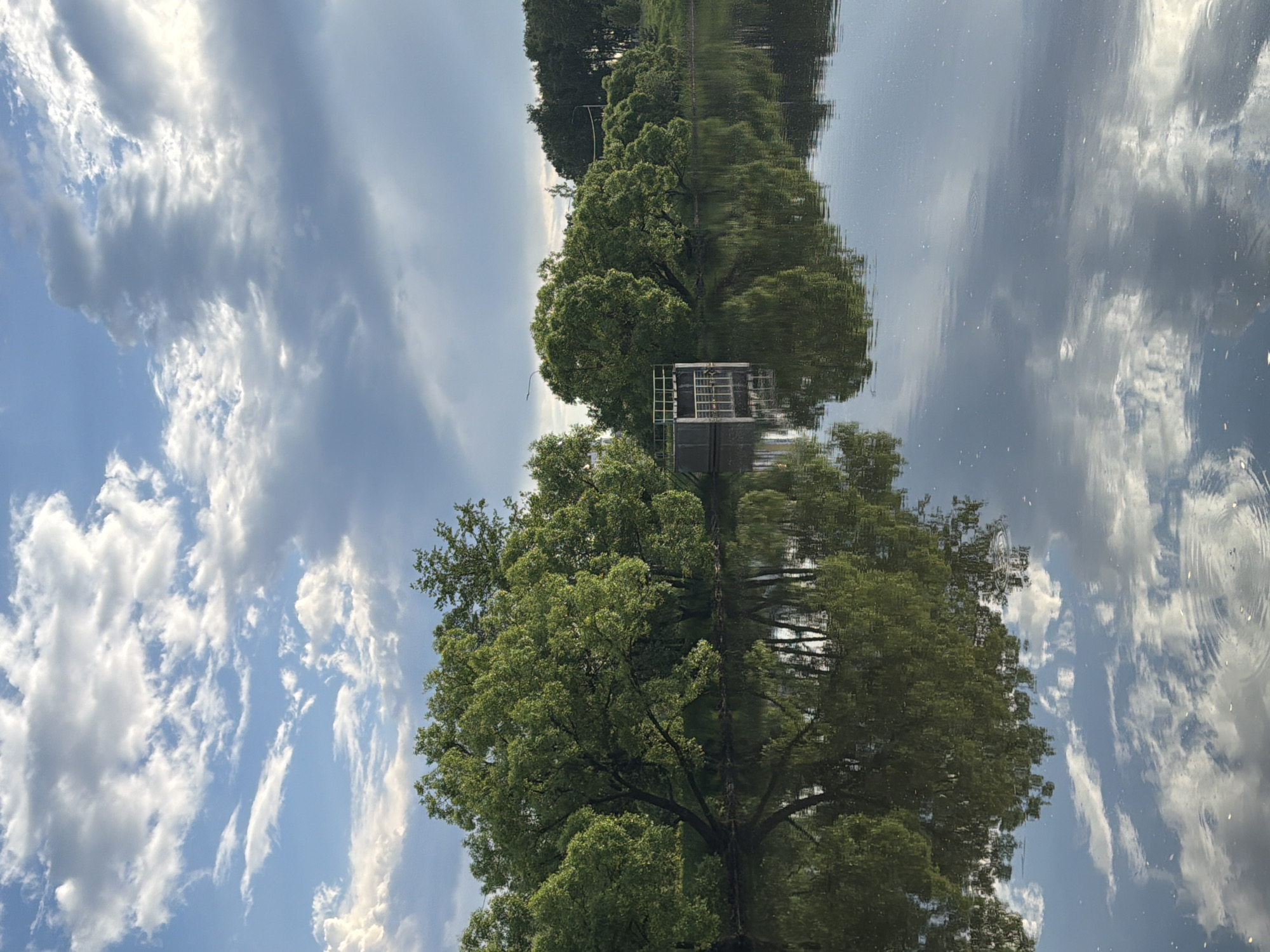 This media file captures a tranquil daytime scene of a waterway, likely a river or canal, flanked by lush green trees, set in what appears to be a natural or semi-urban environment in Satino-Russkoe, Russia.
The image, best viewed horizontally (as if rotated 90 degrees counter-clockwise), presents a clear blue sky adorned with white and grey cumulus clouds at the top. The bottom half of the image features the calm surface of the water, which acts as a mirror, reflecting the sky and the trees along its banks.
Numerous mature deciduous trees with vibrant green foliage line both sides of the waterway. On the left bank, partially obscured by the trees, stands a small structure, possibly a boathouse, a small pier, or a utility building, identifiable by its white railings or framework and a grey base. The reflections of these trees are clearly visible in the water, appearing as an inverted mirror image. Subtle ripples on the water's surface slightly distort the reflections, particularly noticeable in areas reflecting the clouds.
No people or specific activities are depicted, emphasizing the serene and natural beauty of the landscape. The bright, natural lighting suggests it is daytime, likely late morning or early afternoon. The weather appears pleasant, with a mix of clear sky and scattered clouds. The overall mood conveyed is one of peacefulness and natural beauty. No visible text is present in the image.