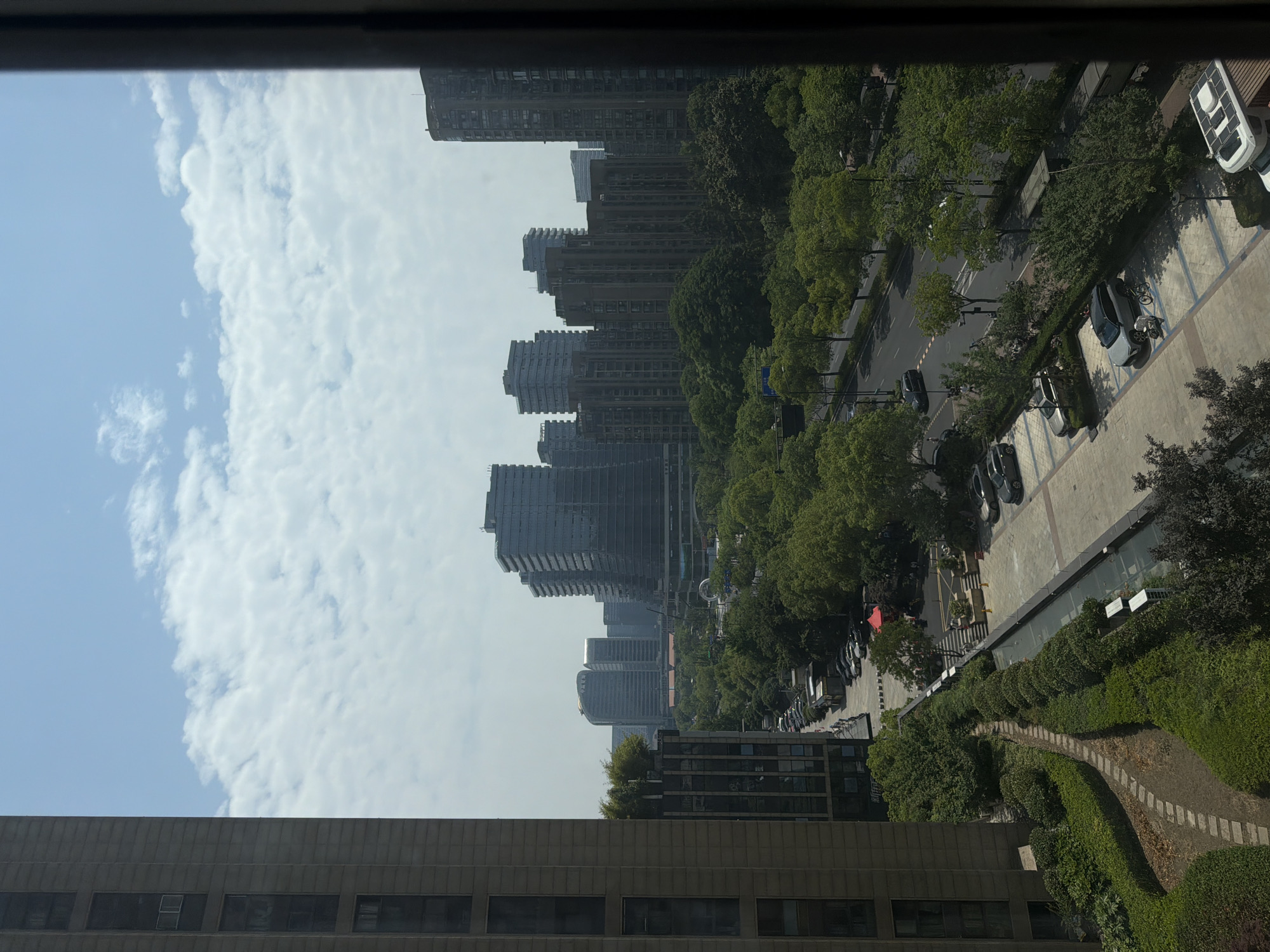 The image shows a cityscape in Binjiang District, China, viewed from an elevated position, possibly a high-rise building. The sky is blue with scattered clouds. Several modern high-rise buildings are visible in the distance, with some under construction. Closer to the viewer, there are mature trees lining a street with parked cars on the side. There is a pedestrian walkway with manicured bushes and a stone-paved path. The foreground features the top of another building.