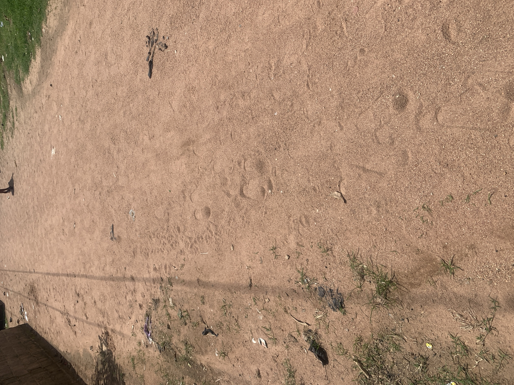 The image shows a dirt path in Jauro Yinu, Nigeria, with evidence of recent human activity. Several footprints are clearly visible in the reddish-brown soil, suggesting people have walked along this path. Scattered debris, including pieces of plastic and fabric, is present on the left side of the path, indicating it may be a less maintained area or a place where litter accumulates. Some sparse green grass is growing alongside the path. In the distance, a person is partially visible, and further down the path, two vertical shadows suggest utility poles. The overall impression is of a casual, outdoor environment within a community.