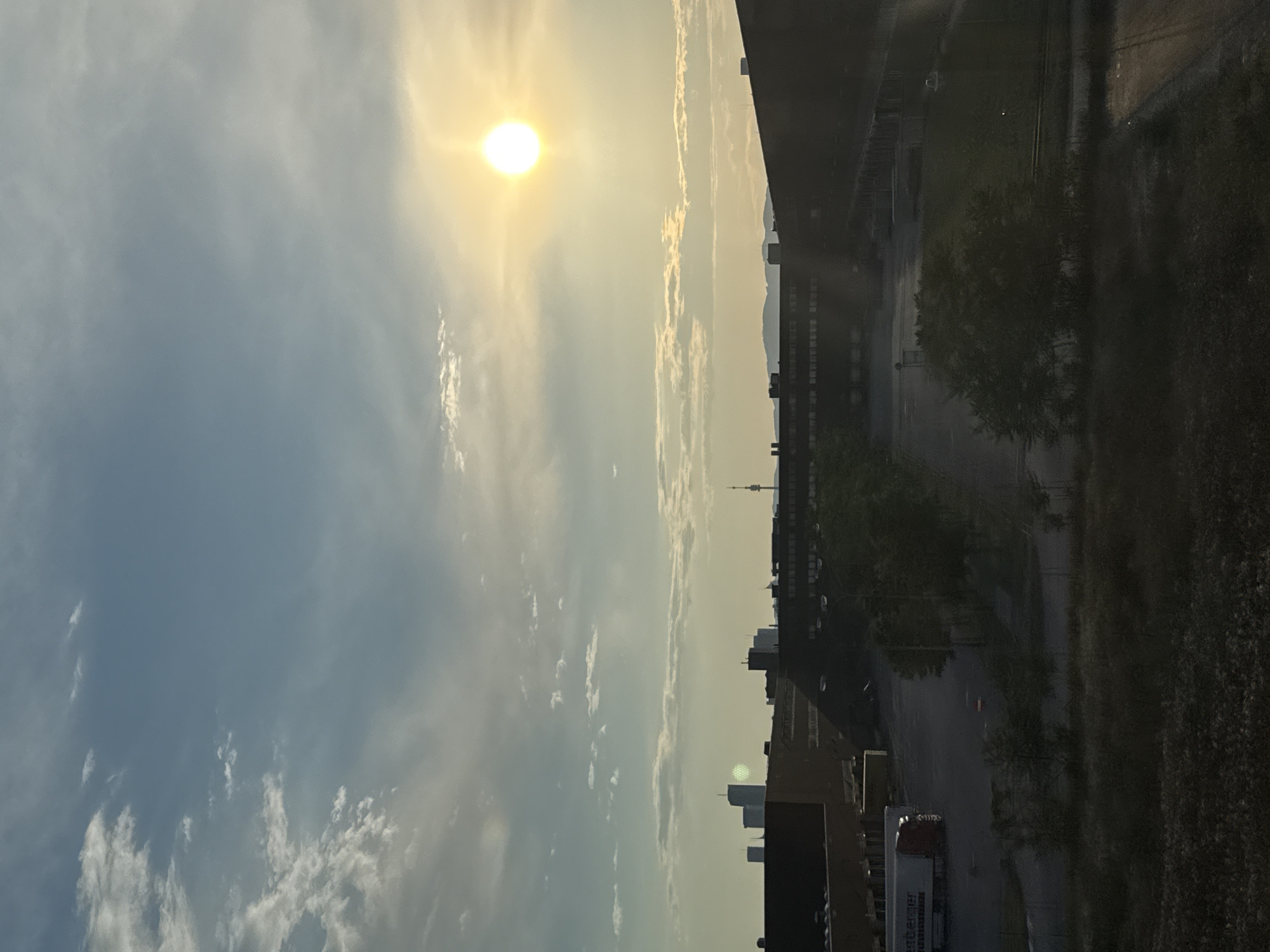 An eye-level, vertical shot captures a hazy sunset over an industrial area in Vienna, Austria. The sun, a bright, diffused orb, hangs in the upper right quadrant of the sky, casting a warm, golden light. Wispy clouds streak across the blue sky, some catching the sun's glow.
In the mid-ground, a long, dark building dominates the frame, its facade appearing to be made of brick. A parking lot or open yard stretches out in front of the building. A white truck with a red trailer is parked on the left side of the lot. Scattered trees with dark green foliage are visible in the foreground and around the parking area.
The background reveals a city skyline with several tall buildings, some appearing as modern glass structures and others as darker, more industrial buildings. A distinct telecommunications tower rises above the cityscape. In the far distance, a faint outline of mountains is visible. The foreground is a dark, overgrown area with dense vegetation. The overall impression is one of a sprawling industrial zone under a fading, atmospheric sky.