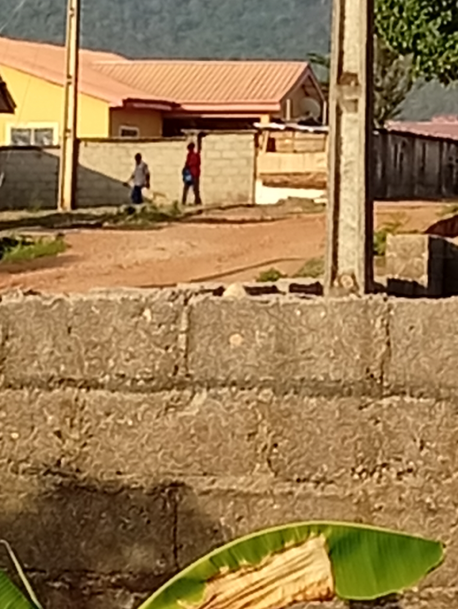 A daytime exterior shot shows two people walking on a dirt road in an urban setting in Unknown, Unknown. The individuals are positioned in the middle ground of the image, between a wall in the foreground and buildings in the background. The building structures are painted in shades of yellow and brown, with a hill in the background. A power pole stands to the right. A large, green plant is visible at the bottom of the image.