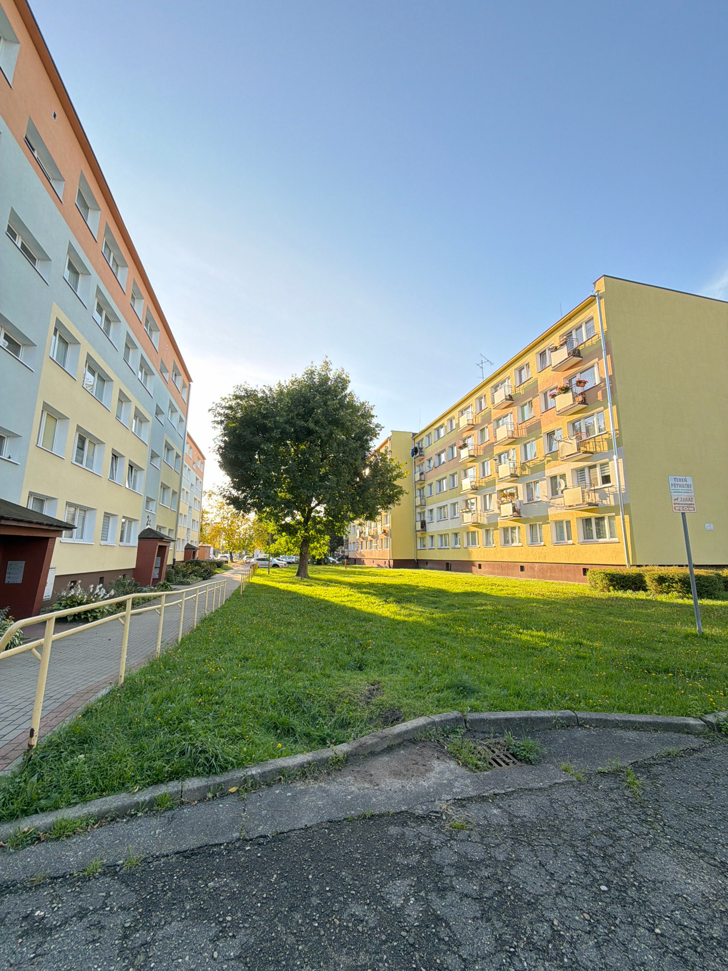 The image depicts a residential area with two multi-story apartment buildings facing each other across a grassy courtyard. The building on the left is painted in pastel shades of blue, yellow, and orange, while the building on the right is primarily yellow. Both buildings have multiple floors with numerous windows and balconies.
A large tree stands prominently in the center of the courtyard, casting shadows on the well-maintained green grass. A paved walkway with a yellow railing runs along the side of the building on the left, leading towards the entrance. The ground in the foreground is paved with asphalt, showing some signs of wear and tear, and a drainage grate is visible near the curb. The sky is clear and blue, indicating a sunny day.
A sign is mounted on a pole in front of the yellow building on the right, which appears to be a private property and no trespassing sign in Polish. The overall scene suggests a typical urban residential environment in Koszalin, Poland, likely during the daytime. There are no people visible in the image.