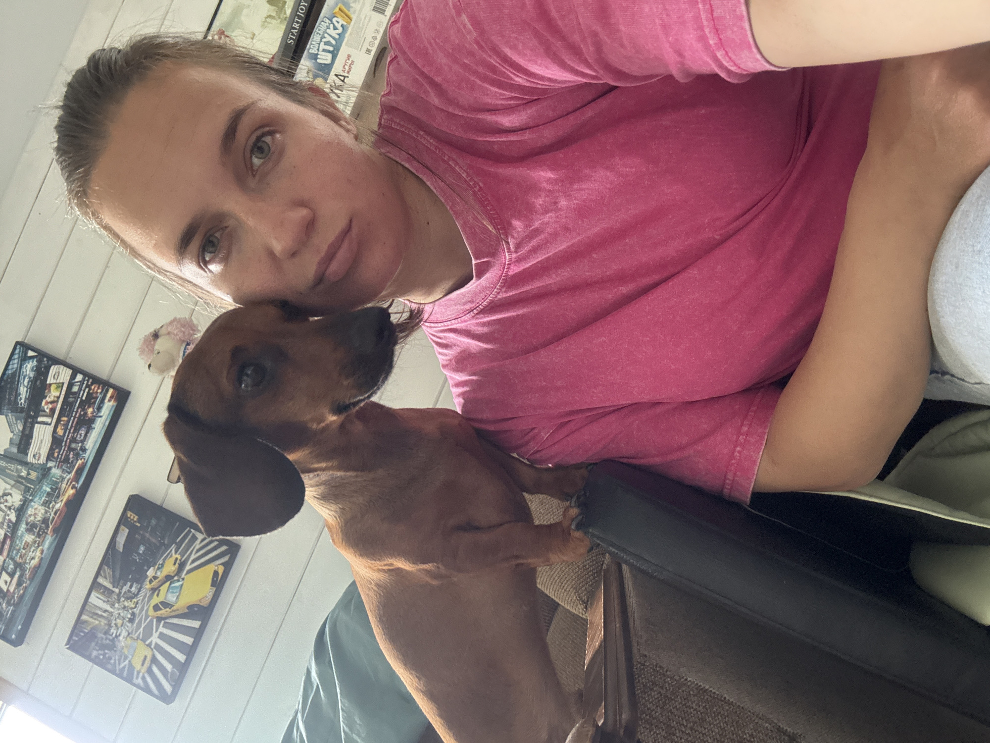 A woman in a pink t-shirt is taking a selfie with a brown dachshund. The dog is resting its front paws on the arm of a chair. In the background, there are framed pictures of New York City. There are white-painted wooden boards on the wall behind the pictures. A box with Russian writing is also visible. The location is unknown and cannot be determined from the image.