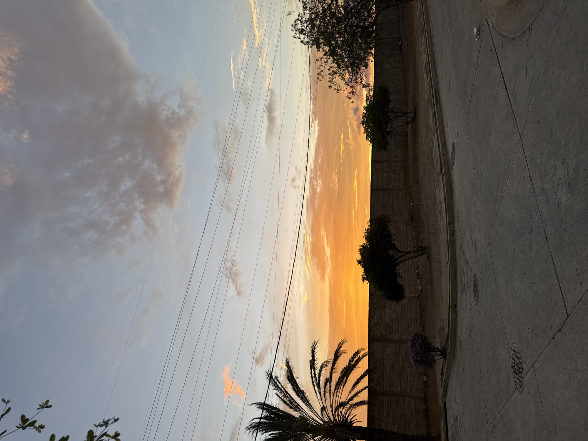 An outdoor vertical shot captures a sunset over El Espinal, Venezuela. The sky is a gradient of soft blues, pinks, and oranges, with wispy clouds scattered across the horizon. Several power lines stretch horizontally across the frame, some appearing taut and others slightly slack. In the foreground, a concrete street with visible manhole covers and expansion joints leads towards a low, light-colored brick wall. A palm tree on the left side of the image is silhouetted against the sky, its fronds extending upwards. To the right of the palm tree and beyond the wall, three small, dark trees with sparse canopies are planted. A small cluster of purple flowers is visible near the base of the wall to the left of the trees. The overall scene depicts a somewhat arid environment with elements of urban infrastructure.