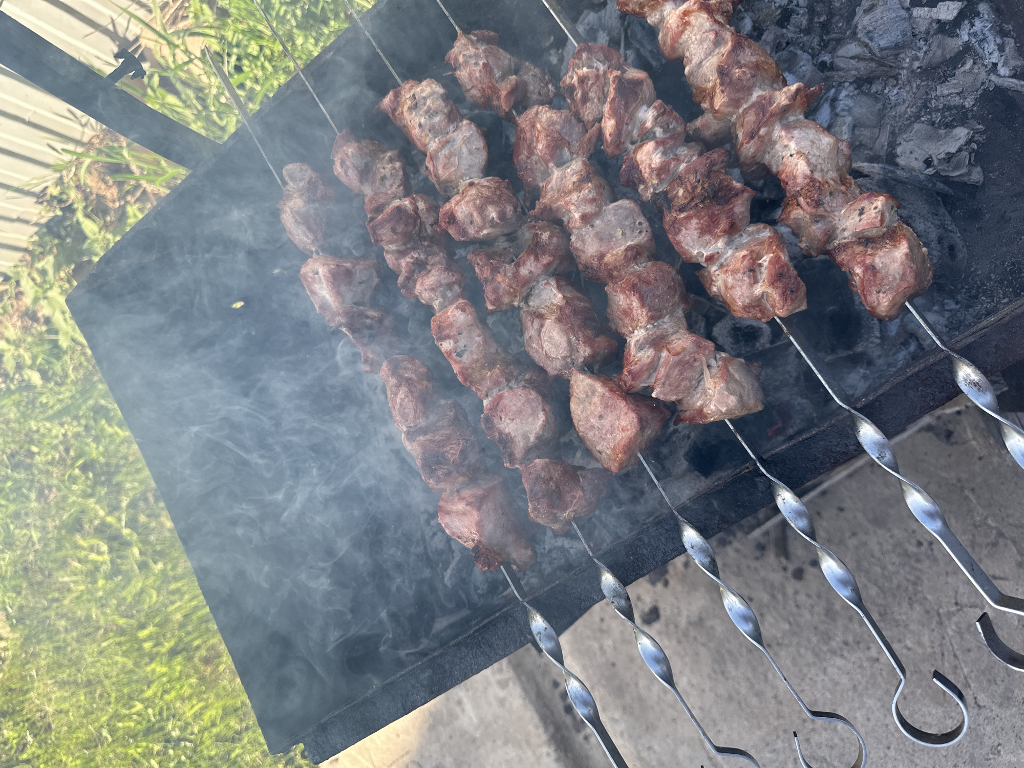The image shows several skewers of meat grilling over a barbecue. The meat is arranged in chunks on the skewers, and smoke is rising from the grill. The skewers are made of metal and have twisted handles. There are coals in the barbecue, some of which are visible at the right side of the grill. The grill is located outdoors, with grass and foliage visible in the background, and part of a metal fence.
The location is likely in Chaikovsky, Russia as per the request.