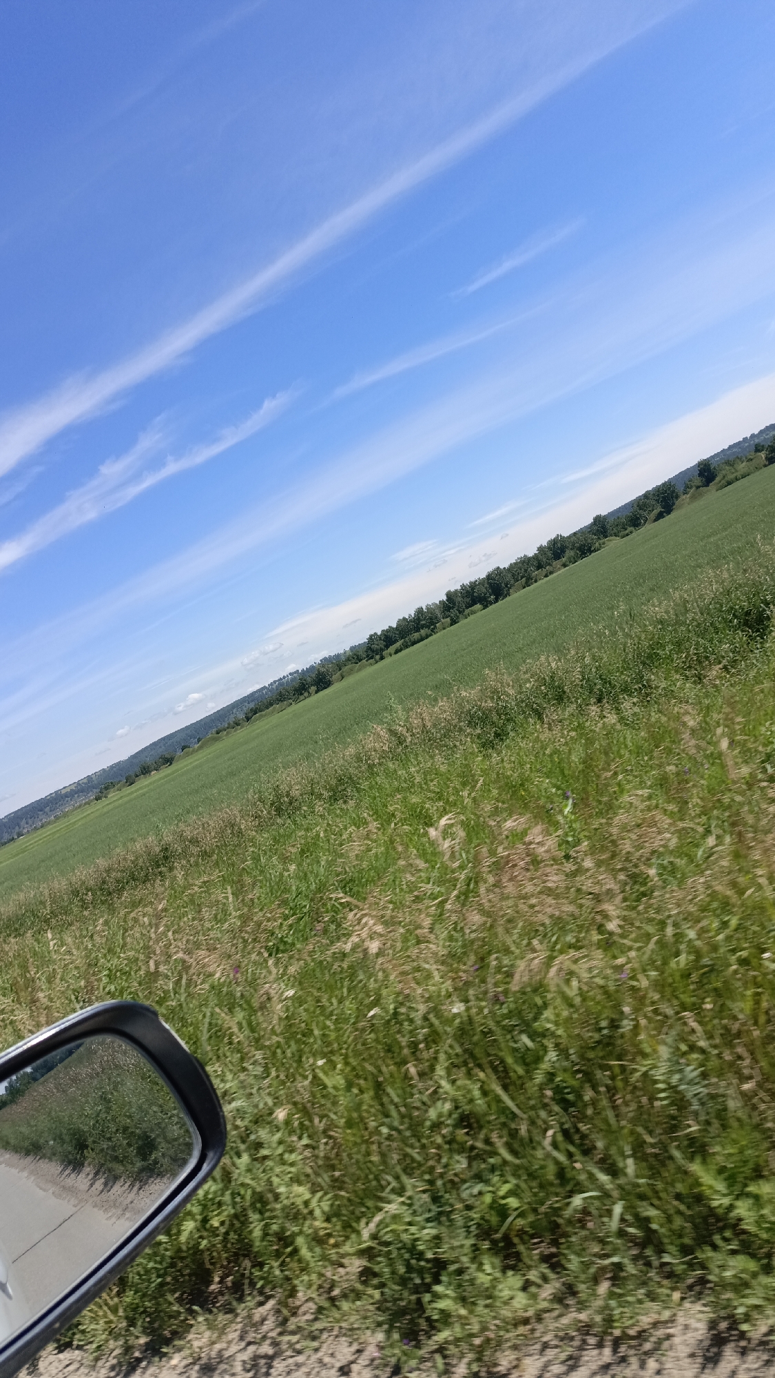 This is a wide-angle, tilted shot of a rural landscape near Meget, Russia. The sky is a bright blue with thin, wispy white clouds streaking horizontally. Below the sky is a large, green, agricultural field that slopes gently into the distance. The field is bordered by a line of trees in the middle ground. In the foreground, to the left, is a car's side-view mirror, reflecting a portion of the road and the surrounding greenery. The overall impression is one of a sunny day in the countryside.
