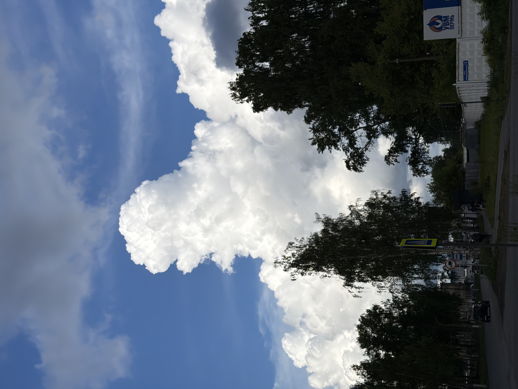 The image displays a bright daytime scene, rotated ninety degrees counter-clockwise. When viewed upright, it shows a street or road bordered by lush green trees, extending towards the right side of the frame. The left side is dominated by a clear blue sky interspersed with large, brilliant white cumulus clouds, which appear dense and volumetric. Some areas of the sky show lighter, wispy clouds.
In the foreground, silhouetted against the bright clouds, are the dark canopies of trees, likely birches due to their light trunks visible further down. To the right, along the road, several vehicles are partially visible, and outlines of people can be discerned walking on a path or sidewalk. A yellow pedestrian crossing sign is visible above the road.
A prominent blue and white sign is mounted on a pole near the top right. It features a stylized circular logo and Cyrillic text. The main text reads "УВМ ПЕРМЬ" (UVM PERM). Below this, smaller text states "Общество с ограниченной ответстве" (Obschestvo s ogranichennoy otvetstve), which translates to "Limited Liability Company". Another small white sign with blue text, possibly "Пушкина 3" (Pushkina 3), is attached to a white structure or container behind the trees.
The weather appears fair and bright, with strong sunlight highlighting the cloud formations. The scene suggests an urban or suburban setting in Chaikovsky, Russia, during what looks like a pleasant day.
