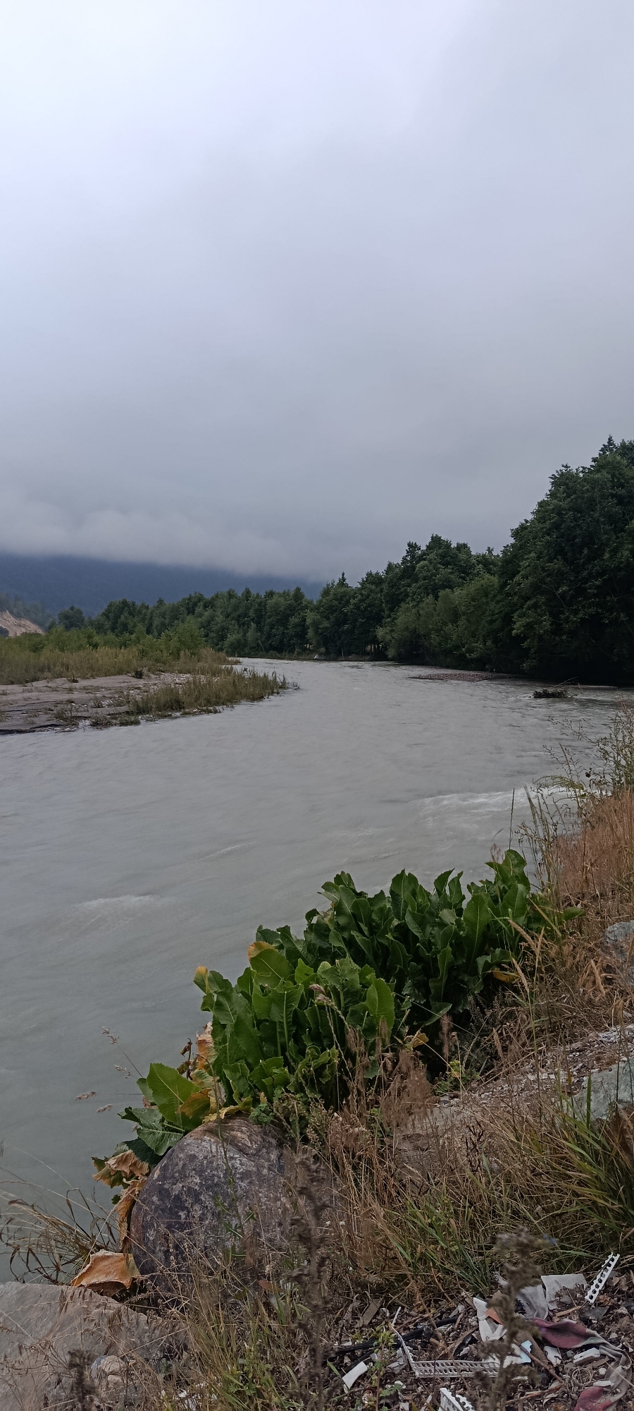 A wide, overcast river flows from left to right, its surface a muted grey with visible ripples indicating movement. The riverbanks are lined with vegetation. On the left bank, there are patches of dry grass and some scattered rocks, leading to a treeline in the distance. The right bank is covered in a mix of tall dry grasses and some vibrant green leafy plants in the foreground, with a large, textured rock partially obscured by the foliage. Beyond the immediate riverbank, a dense forest of dark green trees stretches along the opposite bank and recedes into the background. In the far distance, hazy, dark mountains are visible under a thick, grey, cloudy sky. The overall scene suggests a natural, perhaps slightly unkempt environment near a body of water. There are no people visible in the image.