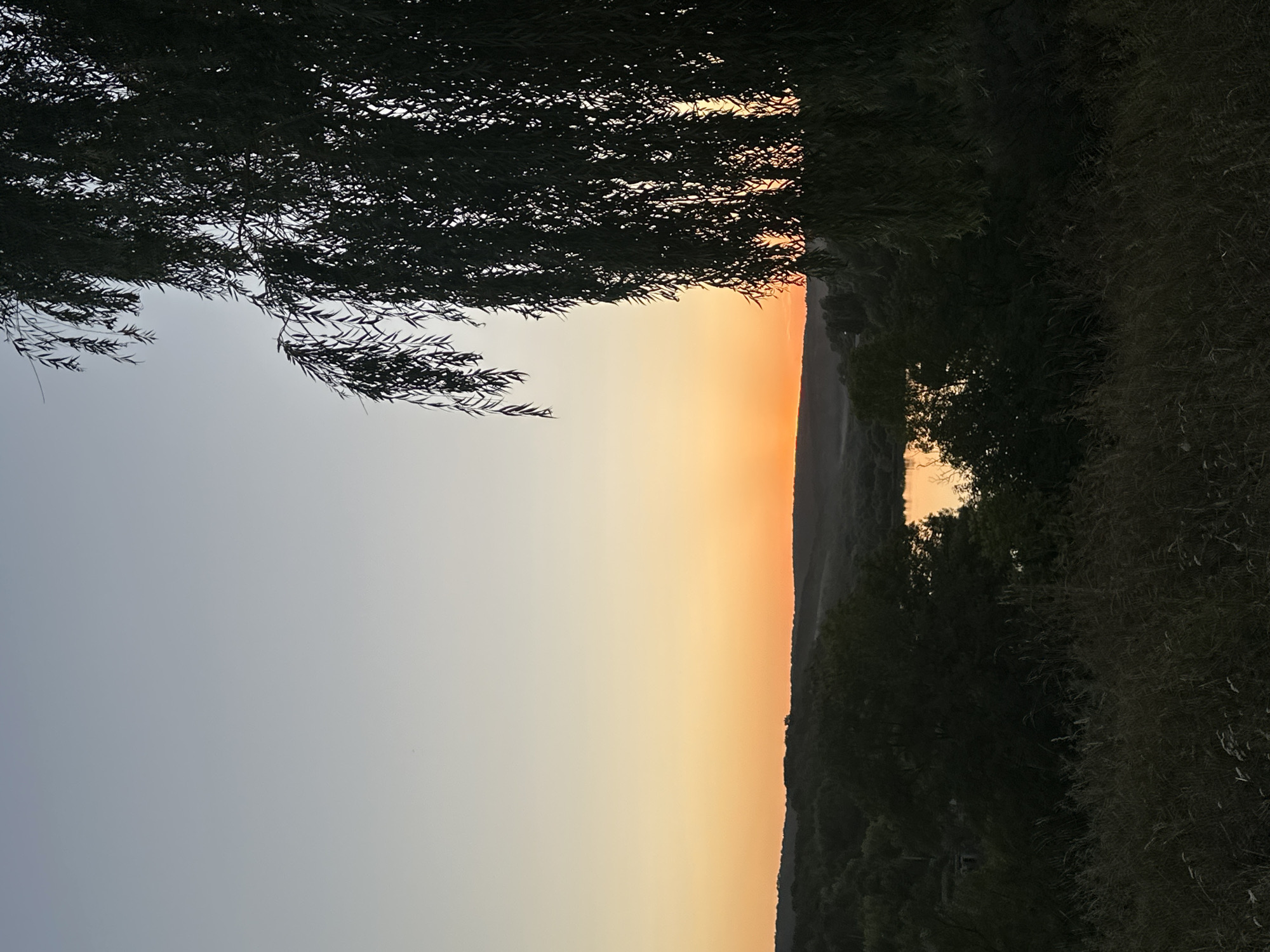 The image depicts a sunset scene in Makiv, Ukraine. A large weeping willow tree dominates the right side of the frame, its dark foliage silhouetted against a gradient sky that transitions from pale blue at the top to a vibrant orange near the horizon. Below the sky, rolling hills covered in lush green trees are visible. Nestled among the trees is a calm body of water, reflecting the warm hues of the sunset. The foreground is filled with tall, dry grasses, suggesting a rural or natural setting. The overall atmosphere is serene and tranquil, capturing the beauty of a natural landscape at dusk.