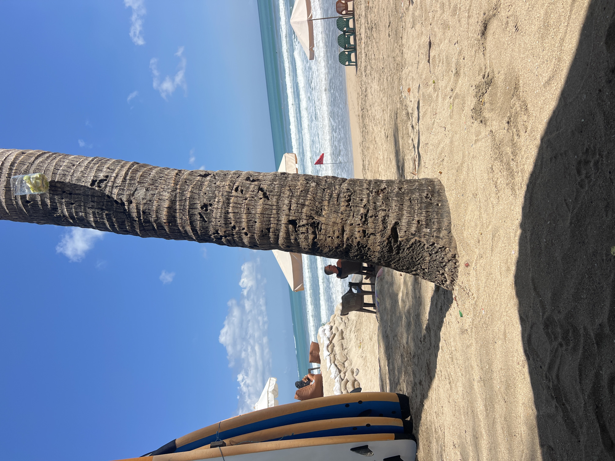 The image depicts a beach scene in Kuta, Indonesia, under a clear blue sky with scattered white clouds. A thick, rough-barked palm tree trunk dominates the foreground, casting a shadow on the sandy ground. To the left of the palm tree, several surfboards are propped upright. In the mid-ground, a beach area is set up with sandbags forming a barrier, and several people are seated. One person is on a brown beanbag chair under a white umbrella, and another person is sitting on a chair. Further to the right, there are more beach chairs and umbrellas, and the ocean with waves is visible in the background. A small red flag is planted in the sand near the water.
