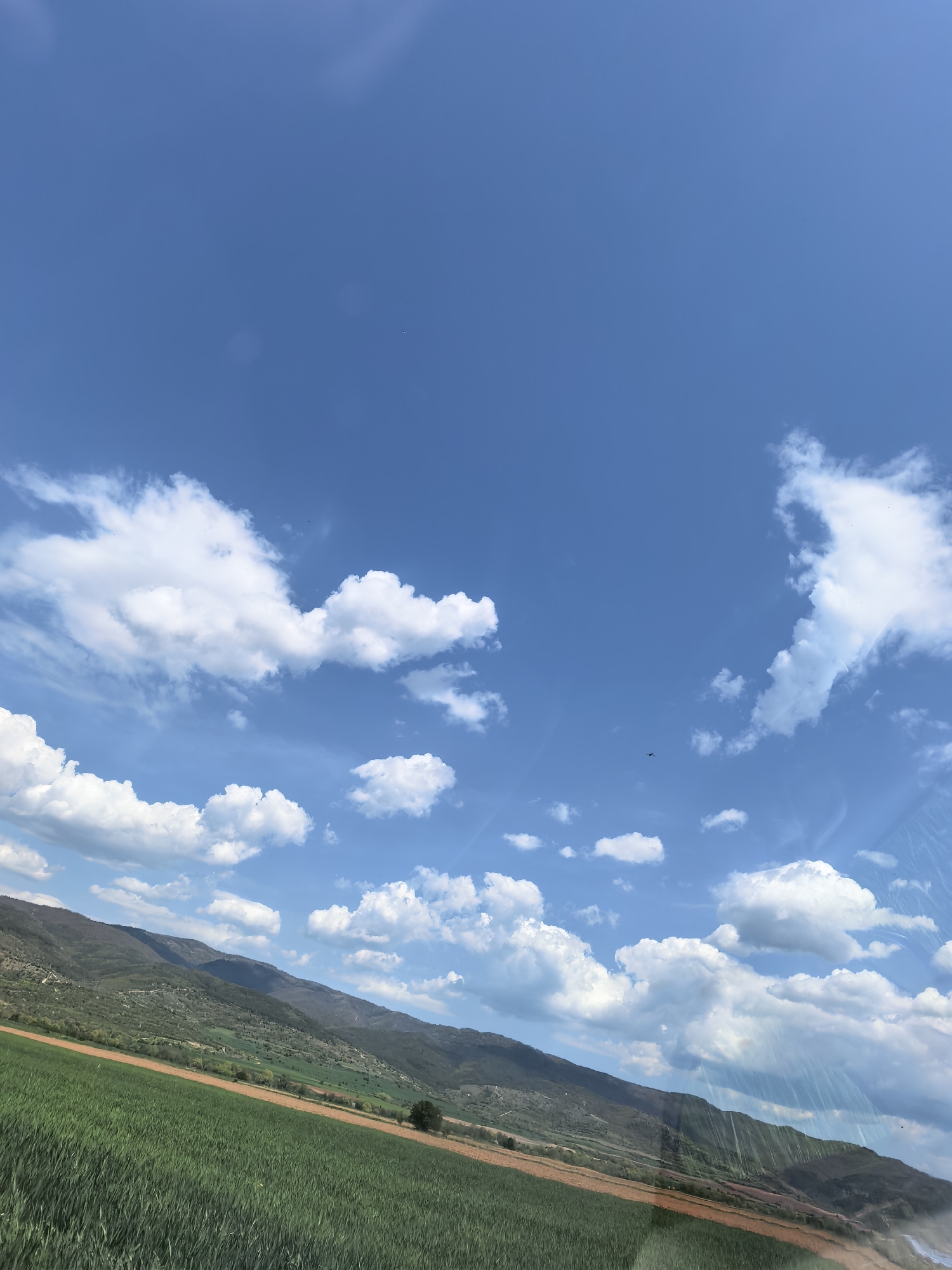The image displays a wide, slightly tilted landscape view of a rural area, consistent with Sapareva Banya, Bulgaria. The scene is dominated by a clear, bright blue sky filled with numerous fluffy white cumulus clouds of varying sizes.
In the foreground, a vibrant green field, likely agricultural crops, stretches across the lower portion of the frame, hinting at fertile land. This green expanse is separated from the background by a strip of reddish-brown earth. Beyond this, a range of rolling mountains rises, covered in a mix of green vegetation, including trees and shrubs, extending across the midground and background. A solitary dark tree stands near the right edge of the brown earth strip.
Small, dark specks, possibly distant birds or insects, are visible against the expansive blue sky in several areas. The weather appears sunny and clear, suggesting a pleasant day, likely late morning or early afternoon, given the bright illumination. Some glare or reflections are present in the lower right corner, indicating the photograph may have been taken through a window. The overall impression is one of natural beauty, tranquility, and vastness. There is no discernible human activity or visible text.