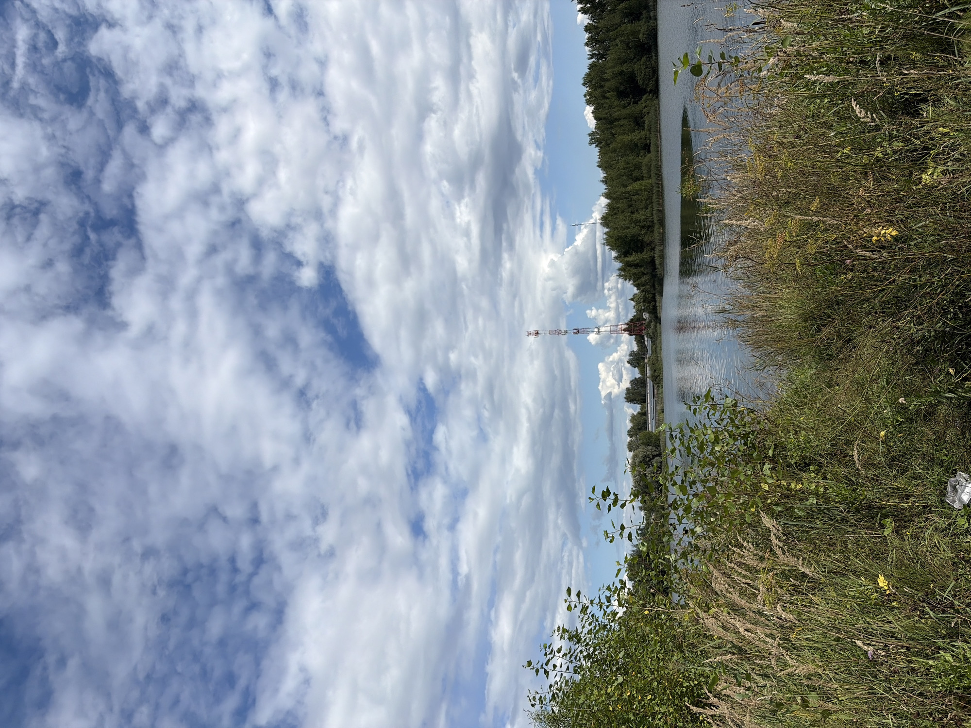 The image depicts a waterfront scene in a rural or suburban area, possibly the city of Озерки Снт, Russia. In the foreground, tall dry grasses and green foliage line the edge of a body of water. Beyond the water, a dense line of green trees forms the far bank. A tall, red and white communication tower stands prominently against a partly cloudy blue sky in the mid-ground, to the left of the tree line. The water is calm with a slight reflection of the sky and trees. The overall impression is one of a natural landscape with a man-made structure integrated into it.