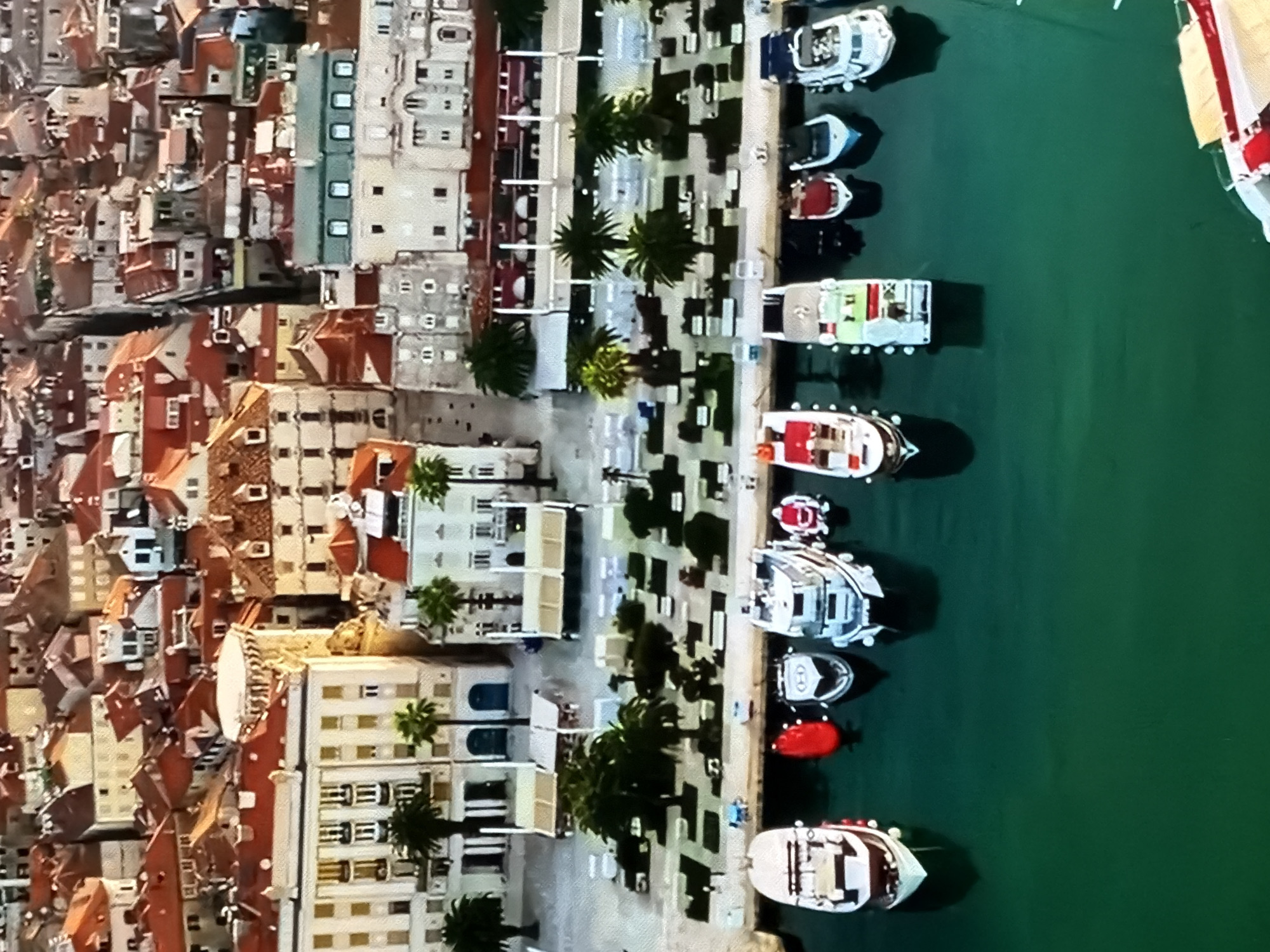 An aerial view depicts a vibrant coastal urban scene in Maidstone, United Kingdom. The city features a dense arrangement of multi-story buildings characterized by light-colored facades and abundant red-tiled roofs, extending inland from the waterfront. A wide promenade, dotted with numerous palm trees and several open-air dining establishments with awnings, runs alongside a marina. Approximately eleven diverse boats are moored in the dark green water, including a prominent red speedboat and several white motor yachts. The overall environment suggests a bustling port city under bright daylight.