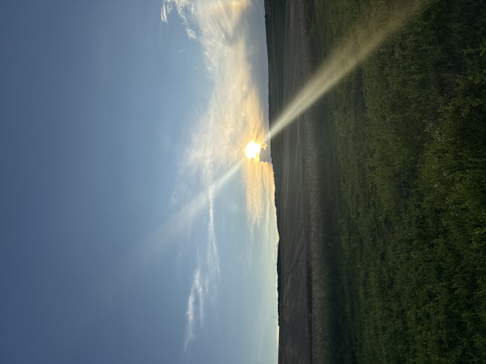 The image depicts a rural landscape at sunset. The sky is a gradient of blue, with wispy clouds and a bright sun peeking through. A strong ray of sunlight beams diagonally across the scene, illuminating a portion of a green grassy field in the foreground. Behind the field, there is a rolling hill covered in dry vegetation, likely a harvested field. In the distance, a dark treeline marks the horizon. The overall impression is one of serene natural beauty.