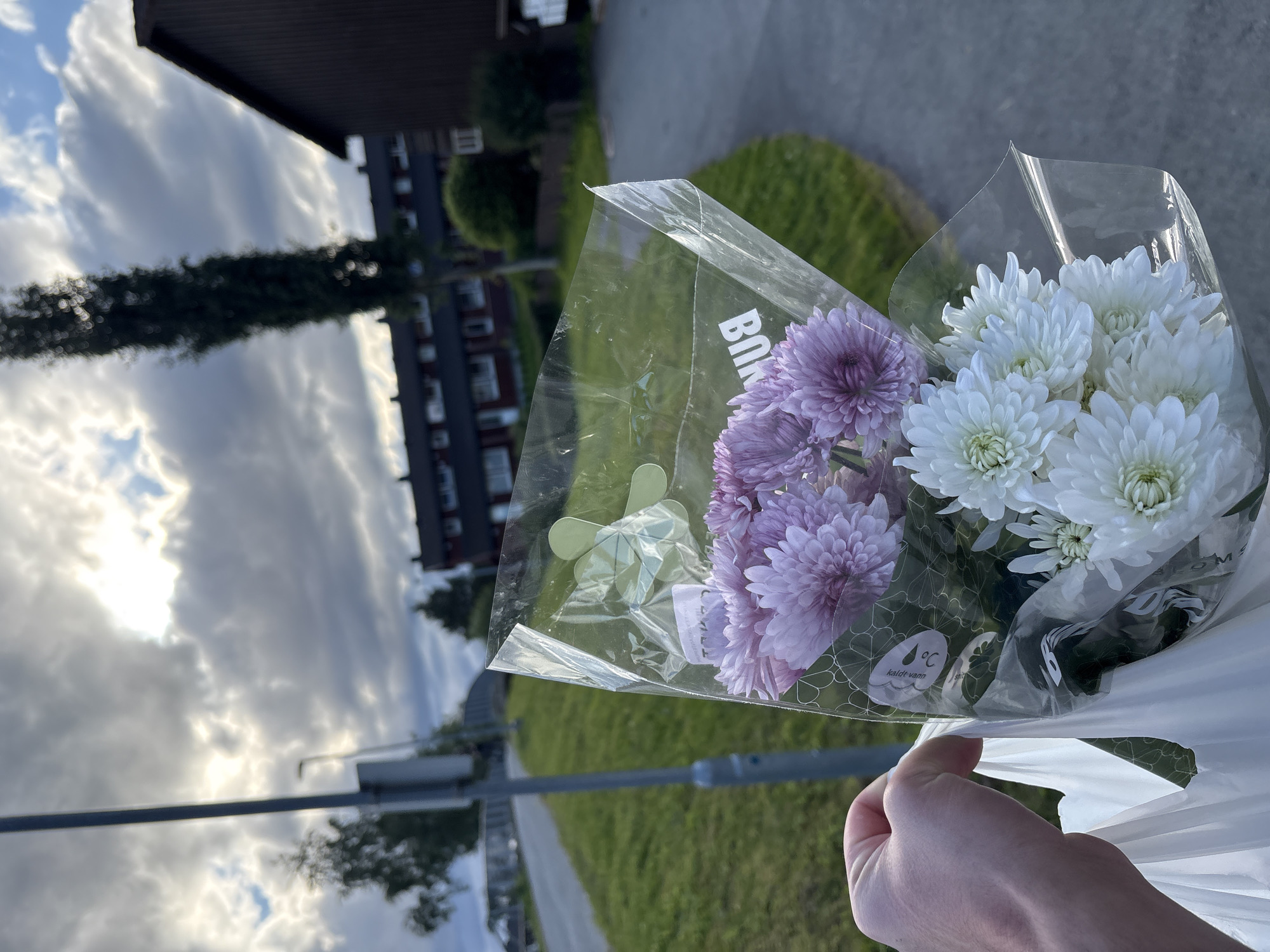 A person's hand is holding a white plastic bag with a bouquet of purple and white chrysanthemums inside. The bouquet is wrapped in clear plastic. The background shows a cloudy sky, a tall tree, and a residential building. In the middle ground, there is a grassy slope next to a paved path. A light post is visible on the left side of the image. This scene appears to be in a residential area in Trondheim, Norway, likely during daytime.