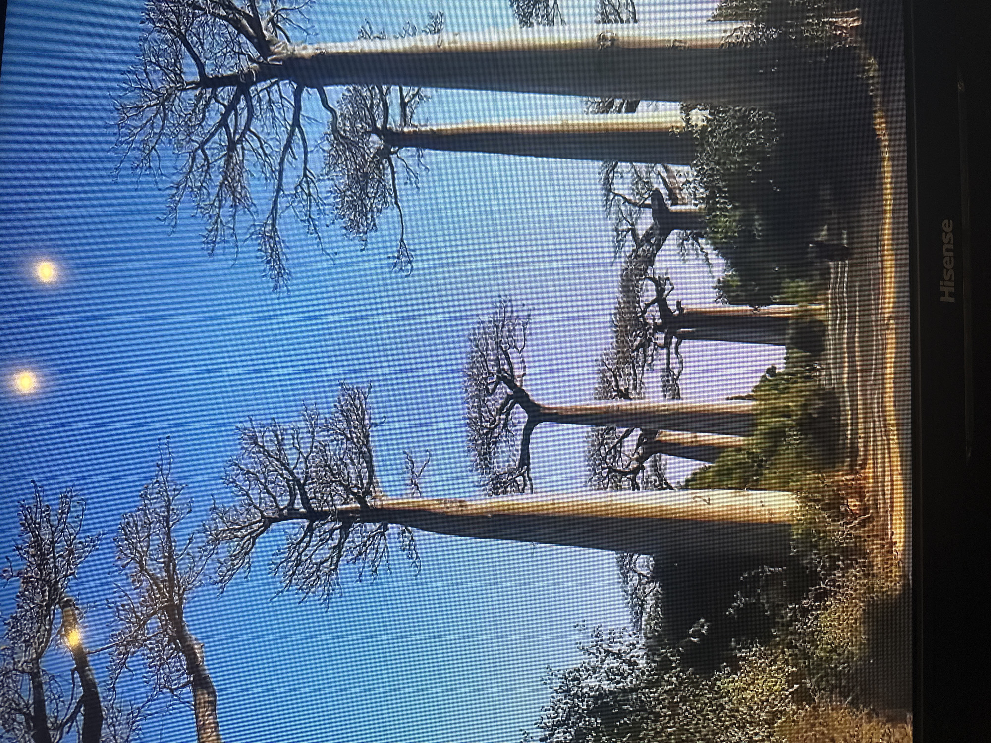 The image depicts a scenic view of Avenue of the Baobabs, a dirt road lined with majestic baobab trees under a clear blue sky. The trees, some of the tallest in the image, are characterized by their massive, bottle-shaped trunks and sparse, umbrella-like canopies of branches. The sunlight illuminates the scene, casting shadows on the road and highlighting the textures of the trees and surrounding foliage. The road appears to be a path through a rural or natural landscape, with vegetation flanking its sides. The scene captures a serene and somewhat dramatic natural environment. There are no visible elements that suggest the location is in the city of Kyiv, Ukraine.