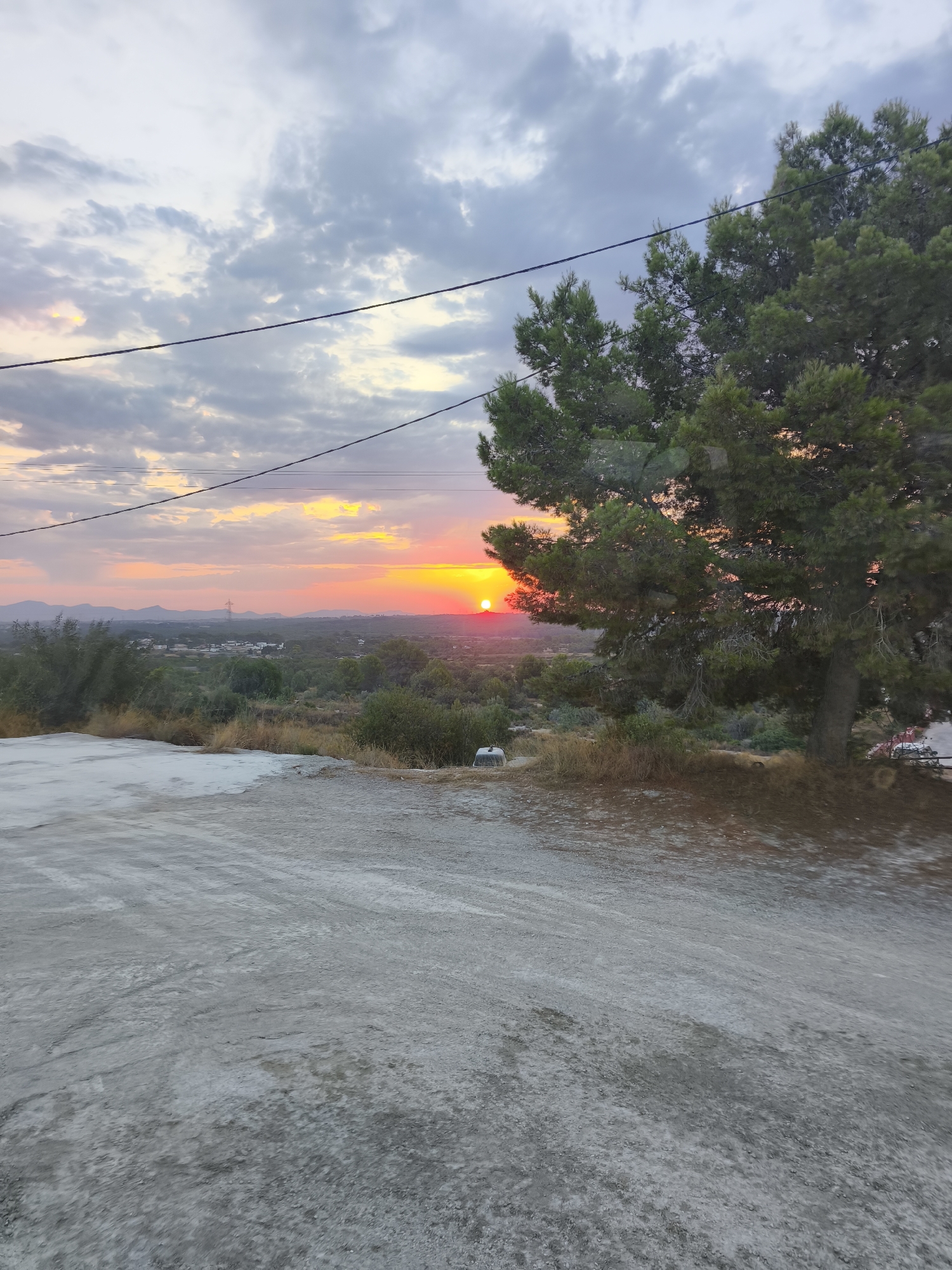 The image depicts a sunset over the landscape of Riba-roja de Túria, Spain. A fiery orange sun is low on the horizon, casting a warm glow across the sky, which is filled with scattered clouds. In the foreground, a concrete surface takes up the lower portion of the frame, appearing rough and textured. To the right, a large, mature evergreen tree with dense foliage dominates the middle ground, its branches extending towards the sky and partially obscuring the view of the distant landscape. The middle distance reveals a valley with scattered buildings and vegetation, and further beyond, rolling hills under the colorful twilight sky. Power lines are visible, stretching horizontally across the upper section of the image. The overall scene is one of natural beauty with man-made elements subtly present.