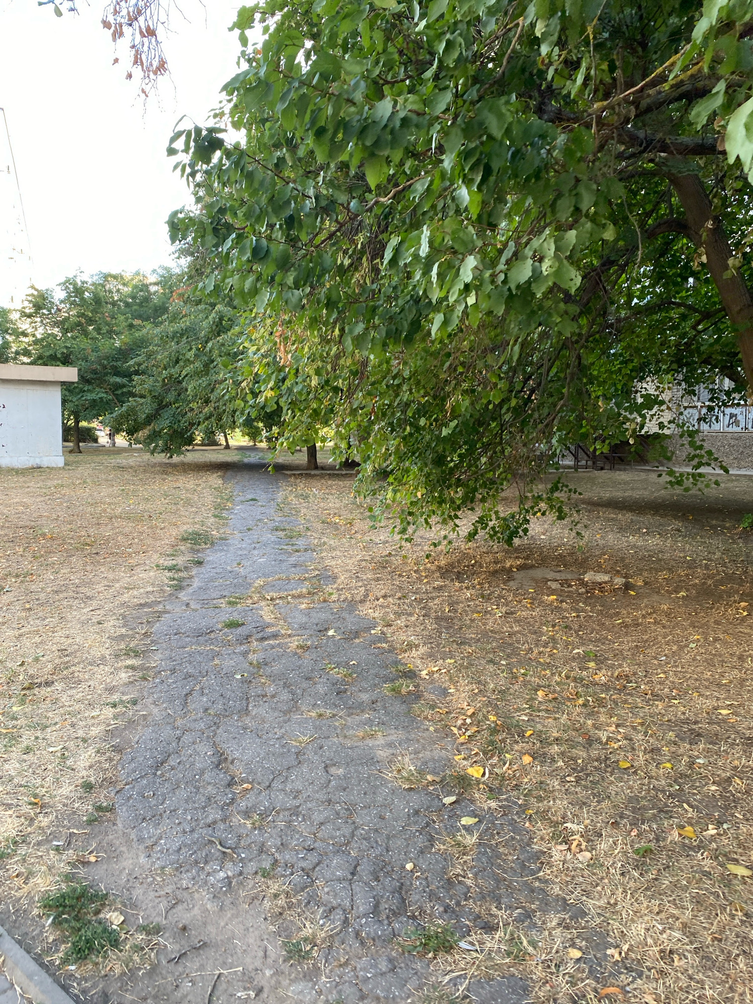 An outdoor, eye-level, vertical medium shot shows a cracked asphalt pathway leading into the distance, flanked by dry, yellowish grass and foliage. On the left side of the pathway, a portion of a light-colored, low-rise building with a flat roof is visible. The pathway is shaded by the branches of a large tree with green leaves, which dominates the upper right portion of the frame. Beyond the trees, in the distance, a building with a stone facade and windows can be seen. The sky is bright and overcast. The scene appears to be in a park-like area or a courtyard. The location is specified as Chornomorsk, Ukraine. There are no people or animals clearly visible in the image.
