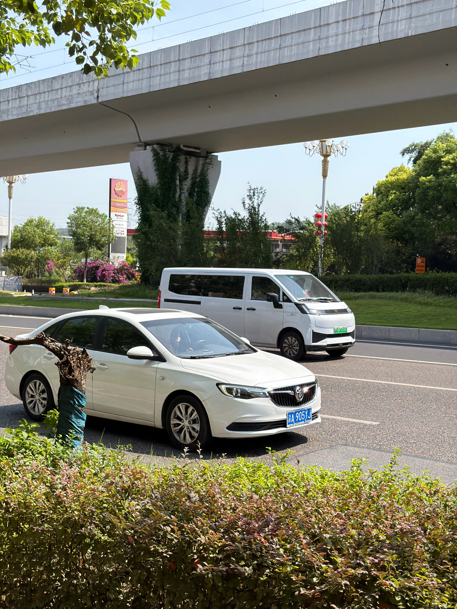 This is a medium shot photograph taken from a slightly elevated perspective, capturing a sunny day on a road in Jiangjin, China. In the foreground, lush green bushes with hints of reddish-brown leaves line the bottom of the frame. A white sedan, with a license plate reading "A 905 YJ", is positioned in the right lane of the asphalt road. To the left of the sedan, a portion of a tree trunk wrapped in blue material is visible. In the middle ground, a white van with the license plate "A C45123" is traveling in the same direction as the sedan. Behind the vehicles, a concrete overpass supported by a vine-covered pillar stretches across the frame. Further in the background, trees and some low-rise buildings are visible under a clear blue sky. A street lamp with decorative globe lights stands on the right side of the road, and a tall sign with Chinese characters and a circular logo is visible to the left. Red lanterns are hanging from a pole in the distance.