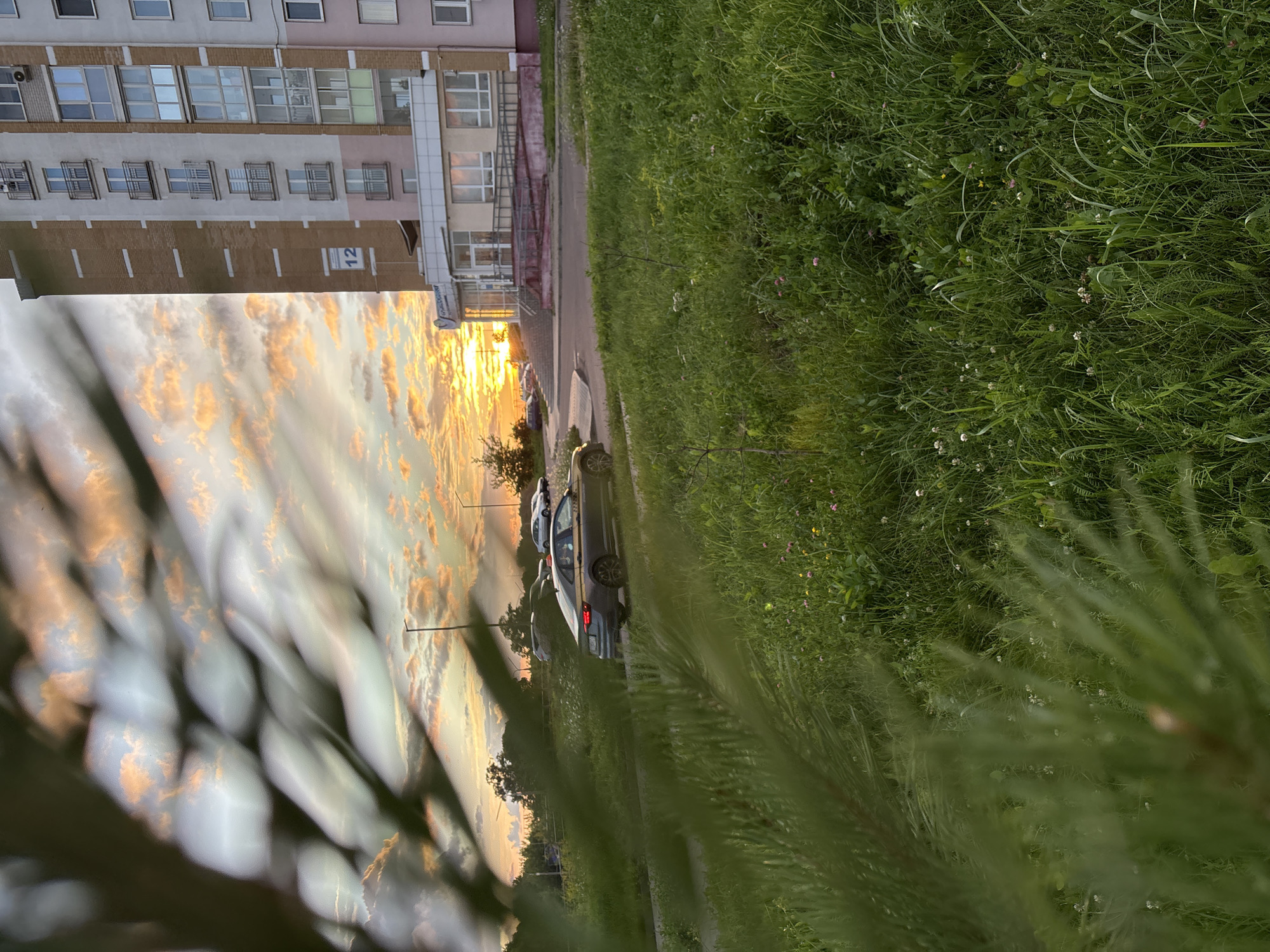 The image captures a sunset scene in Vitsebsk, Belarus. In the foreground, blurred green foliage, likely pine needles, partially obscures the view. Beyond the foliage, a well-maintained, multi-story residential building with light-colored walls and pink accents stands on the right. The building features multiple balconies and windows. A concrete ramp leads to an entrance on the lower floor, marked with the number "12".
To the left of the building, a grey sedan is parked on a paved surface, suggesting a residential or public parking area. The car's taillights are illuminated. Further into the background, more cars are visible on a road or parking lot, and trees line the horizon.
The sky is filled with dramatic clouds tinged with orange and yellow hues from the setting sun, creating a vibrant contrast with the blue sky. Streetlights are visible in the distance. The ground is covered in lush green grass, interspersed with small wildflowers, indicating a natural or park-like setting adjacent to the urban environment. The overall impression is of a peaceful evening in a residential area.