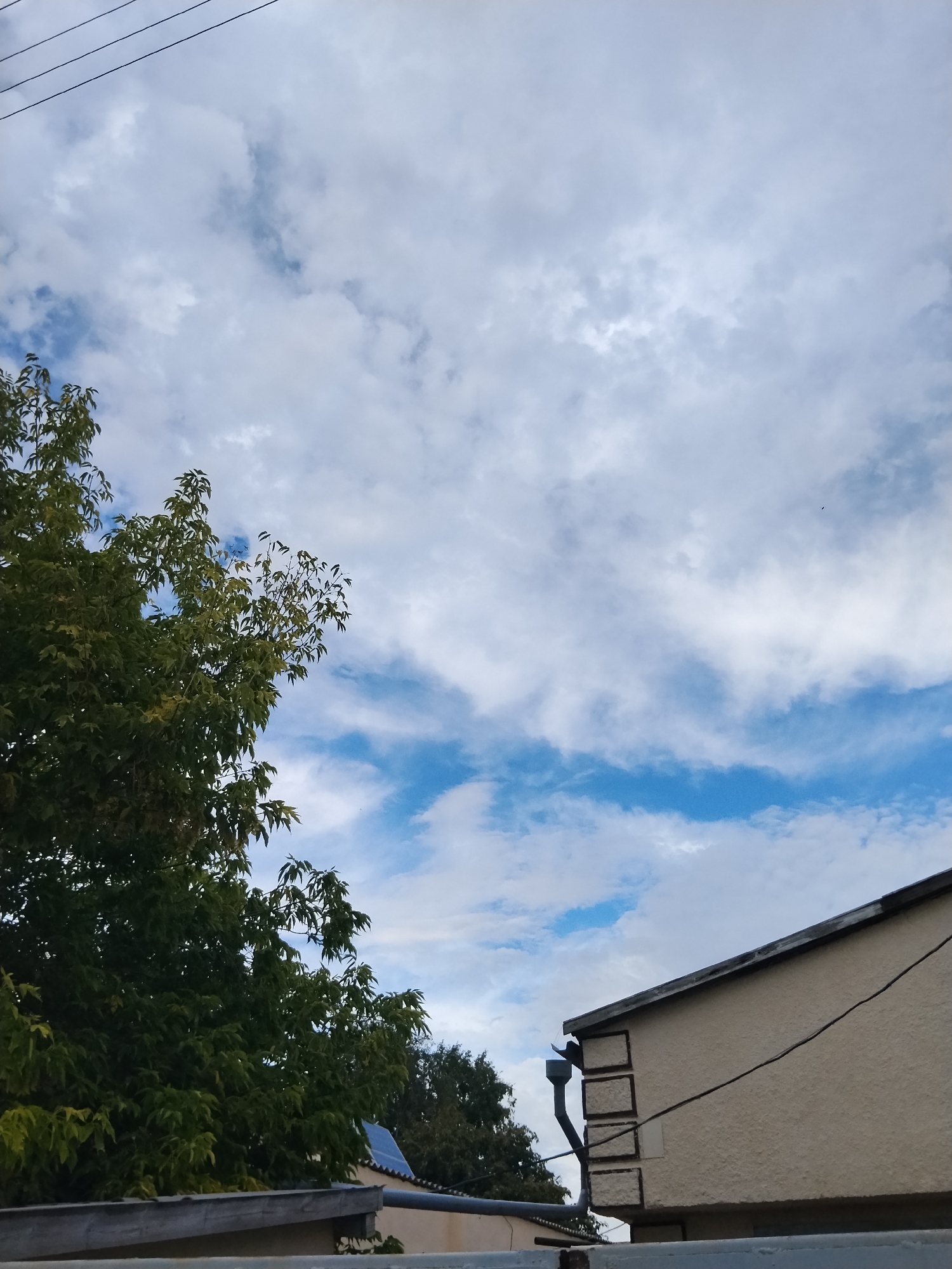 An outdoor, low-angle, full shot captures a portion of a residential building with a sloping, gray roof against a sky filled with white, scattered clouds. A dark gutter system is attached to the side of the building. In the foreground, a lush green tree with dense foliage extends into the frame from the left, partially obscuring the sky. A thin black wire runs diagonally across the image, originating from the upper left corner and extending towards the lower right. The context of Kokshetau, Kazakhstan, is not visually discernible from the image content itself.