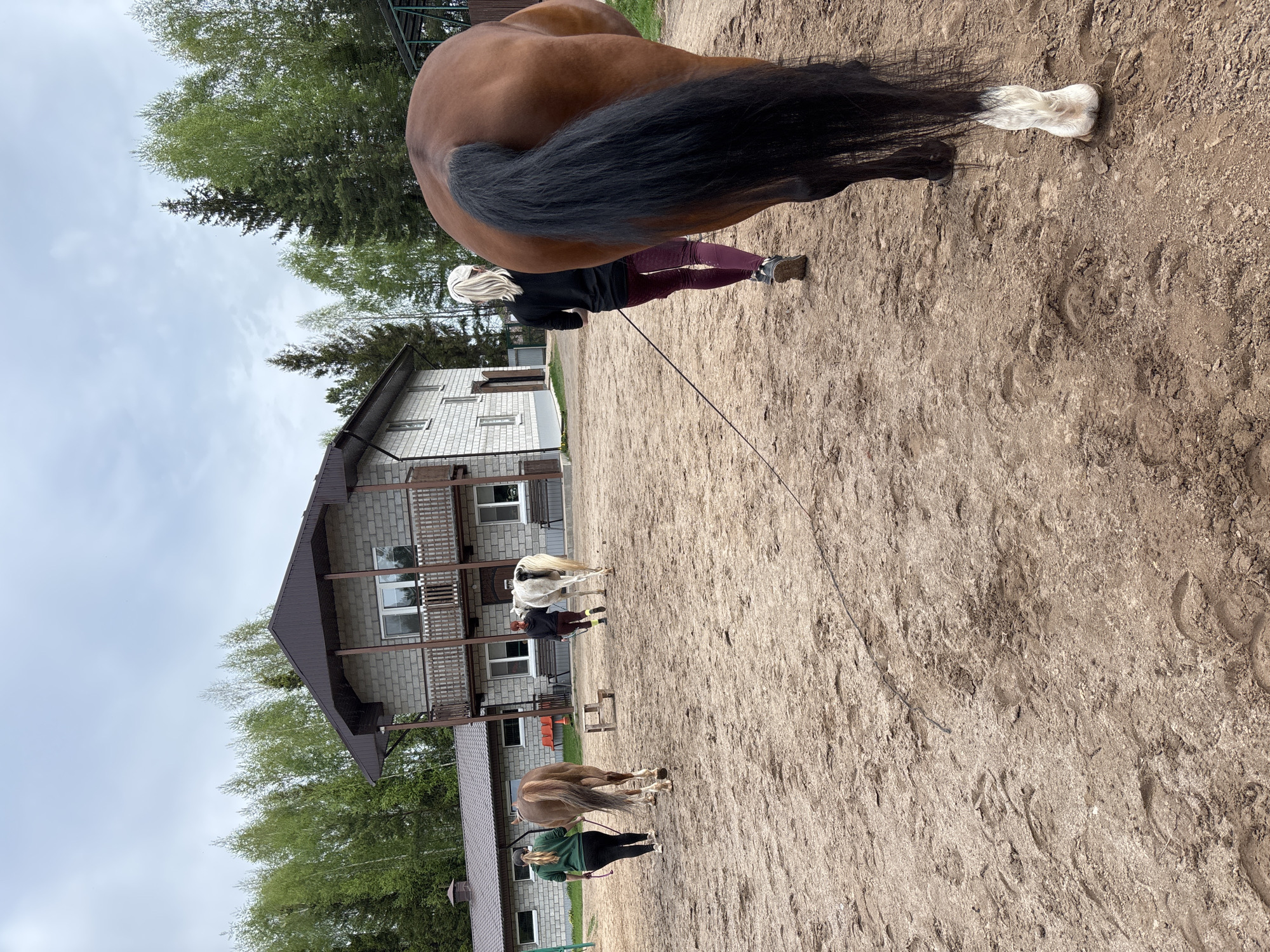 The scene depicts a dirt paddock in Русский Вожой, Russia, where three horses are being walked. A woman with blonde hair is walking a bay horse with a black tail and white sock markings on its hind legs. A second woman in a green shirt is walking a tan-colored horse. A third horse, white and brown in color, is also being walked by a person wearing dark clothing. The horses are connected to the handlers via long lead lines. In the background is a two-story gray brick building with a dark brown roof and balcony. Trees surround the building and line the left side of the paddock. The sky is overcast.
