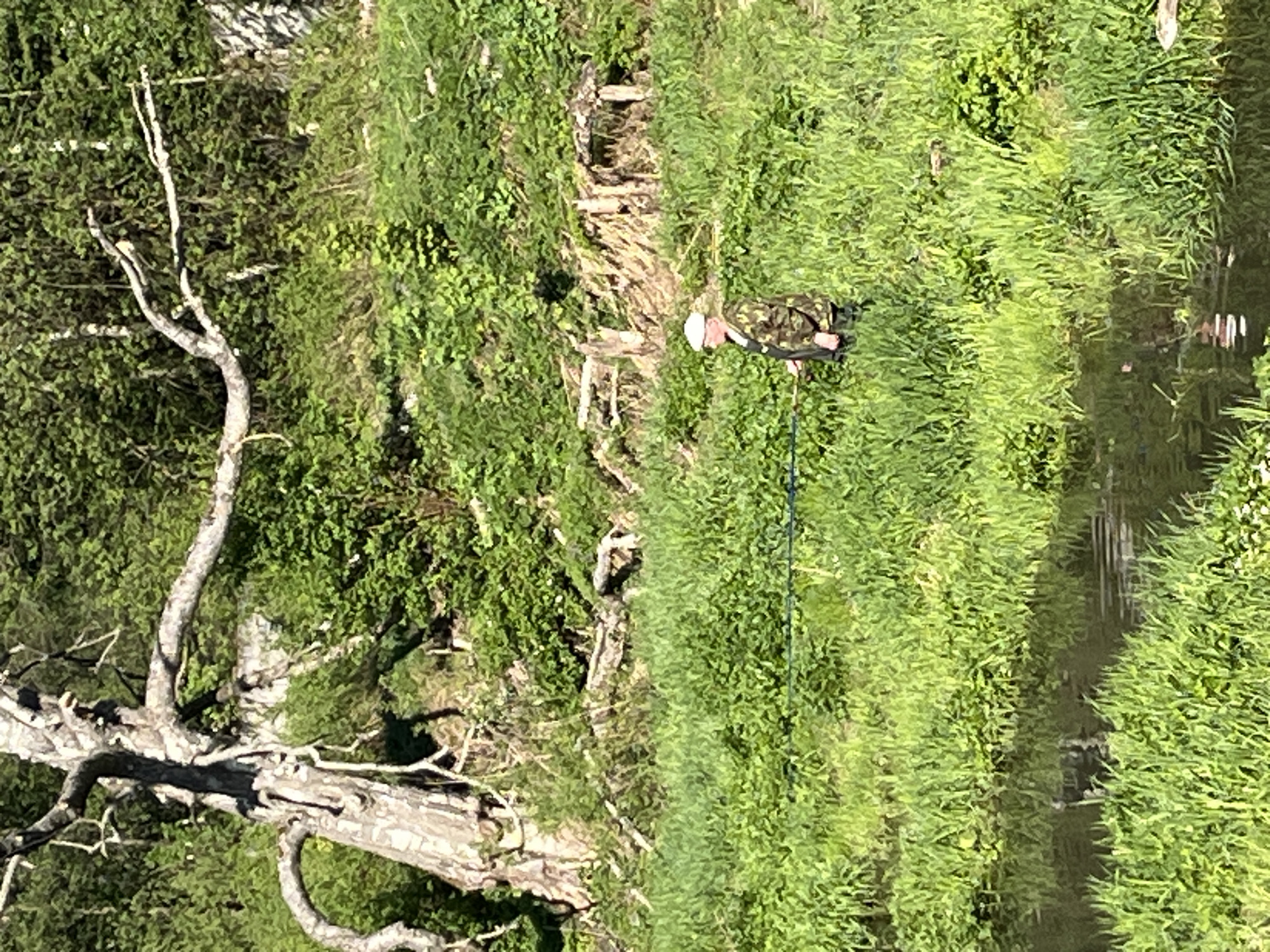 A man stands on a grassy riverbank in Chaikovsky, Russia. He wears a camouflage jacket and light-colored hat. A fishing rod extends from his hands into the water. To the left, a dead tree with exposed branches rises from the grassy terrain. The river runs vertically, reflecting light. The scene is overgrown with dense greenery and vegetation.