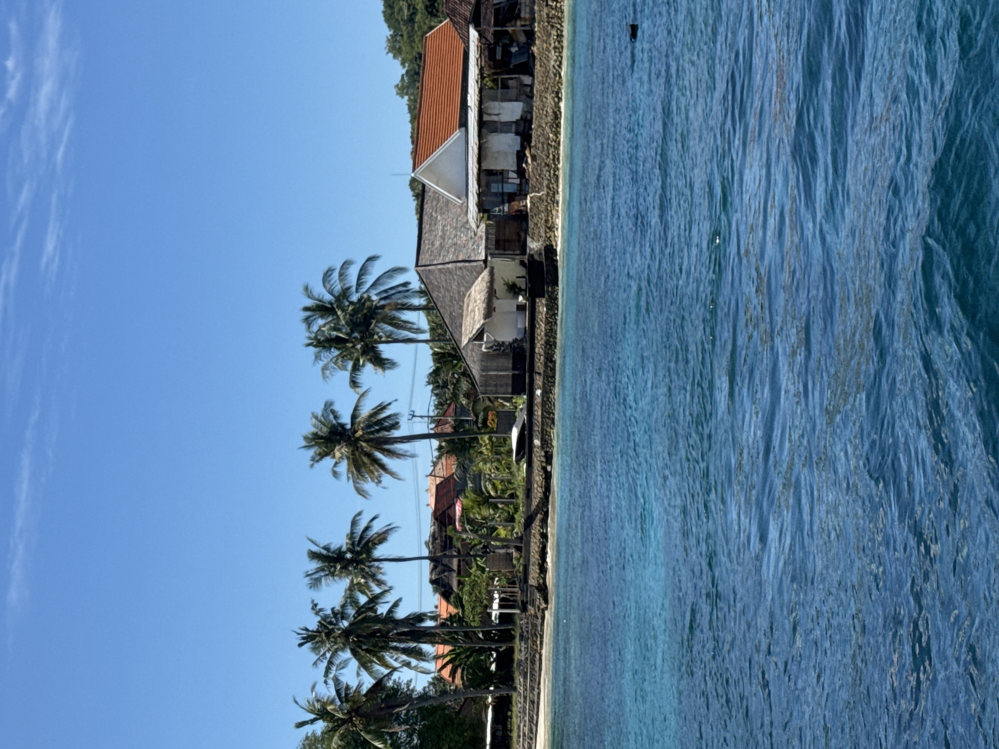 This image captures a serene coastal landscape in Nusa Penida, Indonesia, viewed from the water towards the shore. On the left, a vibrant clear blue sky stretches across the top portion of the frame, adorned with a few faint wispy clouds. Below the sky, a line of lush green palm trees stands tall, their fronds a prominent feature of the tropical scenery.
Along the shoreline, various buildings are visible, suggesting a village or resort area. These structures display different architectural elements, including roofs with reddish-orange tiles and others with darker, possibly shingled, coverings. A stone wall or revetment runs along the edge of the land, separating it from the ocean. Behind the immediate coastal buildings, more dense green foliage and higher terrain, likely hills, can be seen.
The right side of the image is dominated by the clear, calm blue ocean water, which appears shallow and inviting near the shore, gradually deepening further out. The water's surface shows gentle ripples and texture from the light breeze. A small, dark, indistinct object, possibly a buoy or a distant boat, is visible in the water towards the upper right. The scene is bathed in bright daylight, indicating clear, sunny weather, and conveys a peaceful, tranquil tropical atmosphere. No people or visible text are present in the image.