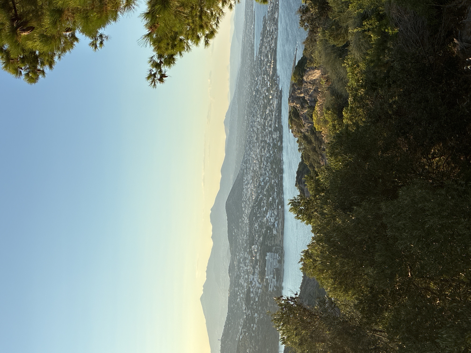 The image captures a panoramic view of a coastal city in Limenas Markopoulou, Greece, likely taken from an elevated position. The scene is bathed in the warm, soft light of late afternoon or early morning.
In the foreground, lush green trees and foliage dominate, with sunlight dappling through the leaves, creating a textured and shadowed effect. Some of these trees appear to be olive trees, characteristic of the Mediterranean landscape.
Beyond the immediate greenery, the middle ground reveals a vast expanse of the Aegean Sea, its surface calm and reflecting the clear blue sky. Along the coastline, a densely populated city sprawls, characterized by numerous white buildings with red-tiled roofs. A notable large, white structure, possibly a hotel or resort, is visible on the waterfront. The city extends inland, climbing the gentle slopes of the hills.
In the background, a series of mountainous horizons fade into a hazy blue, suggesting distance and a vast, undulating landscape. The sky above is a gradient of pale blue to a soft yellow near the horizon, indicative of a sunrise or sunset. The atmosphere is serene and expansive, showcasing the natural beauty of the Greek coast and its urban development. There are no people or specific actions depicted in the image.