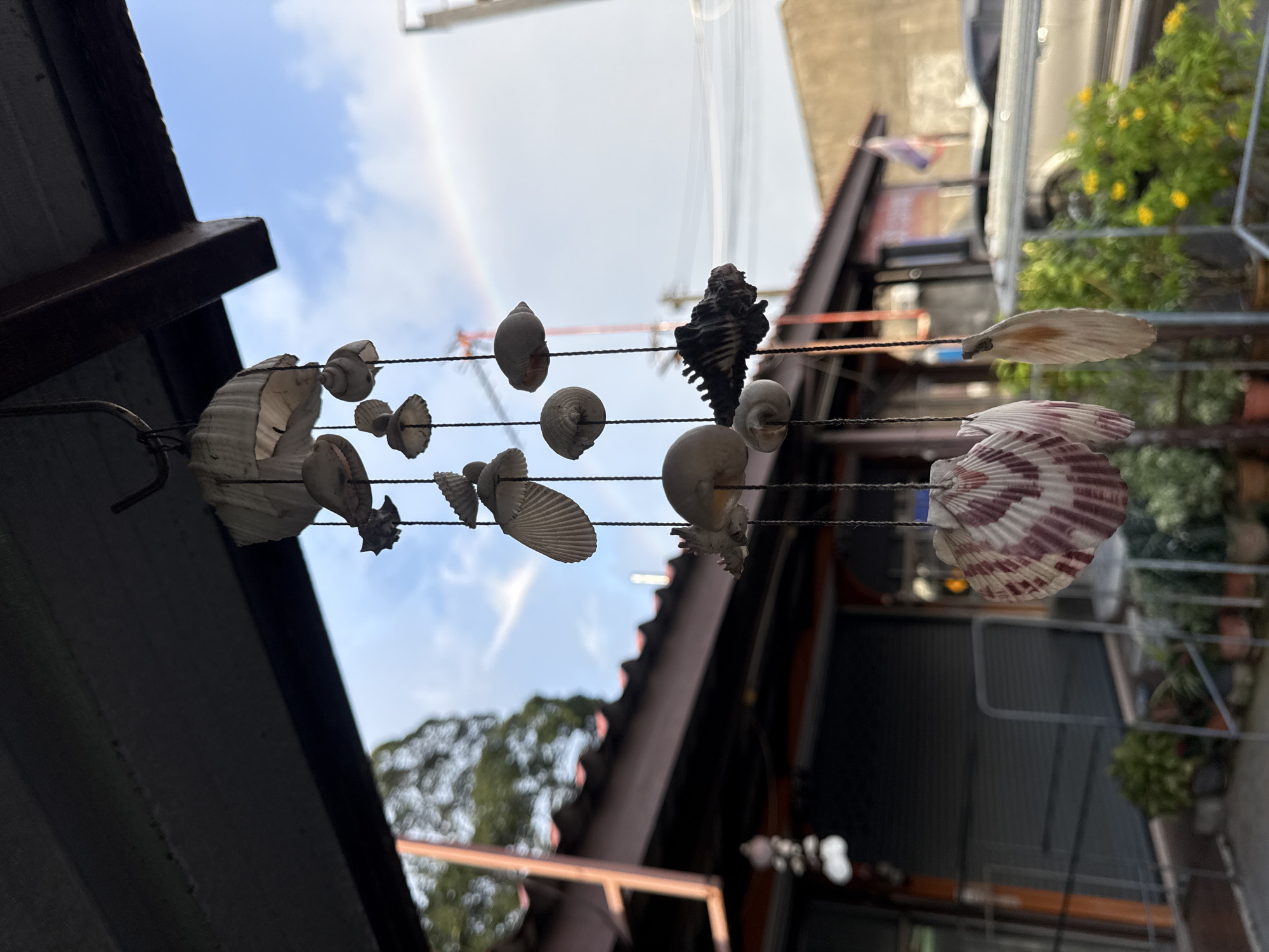 A seashell mobile hangs from a wooden overhang in front of a building. The mobile is made of various shells, strung together with twine. In the background, a faint rainbow is visible in the sky. The building appears to be a shop or restaurant, with a closed roll-up door. Several potted plants are visible in front of the building. The scene is outdoors, with a street and cars visible in the distance. The image was taken in Wichit, Thailand.