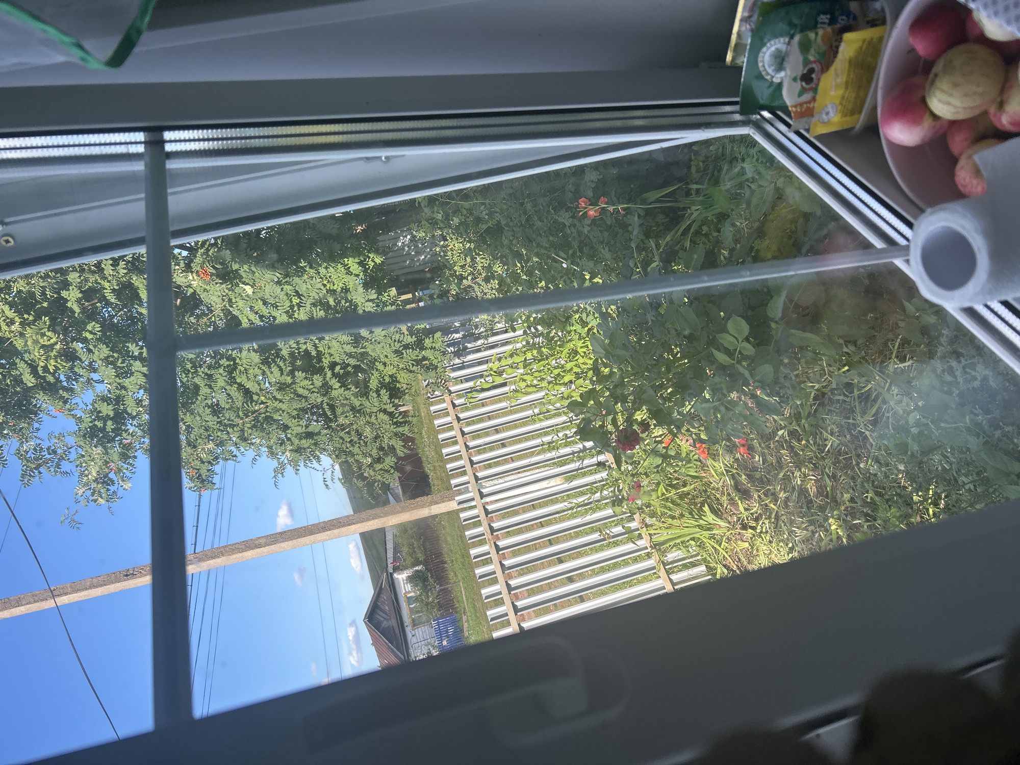 The image, taken from inside a building looking out a window, captures a view of a rural outdoor scene in Starotumdagushevo, Russia. In the foreground, a white metal fence with vertical slats runs across the middle ground. Beyond the fence, lush green vegetation and trees dominate the landscape. A single red flower stands out amongst the greenery. In the background, a small wooden house with a peaked roof is visible, along with a utility pole and power lines stretching across a clear blue sky with scattered white clouds. To the right of the frame, a roll of toilet paper and a bowl of apples are placed on a windowsill. The overall impression is one of a peaceful, sunlit day in a countryside setting.