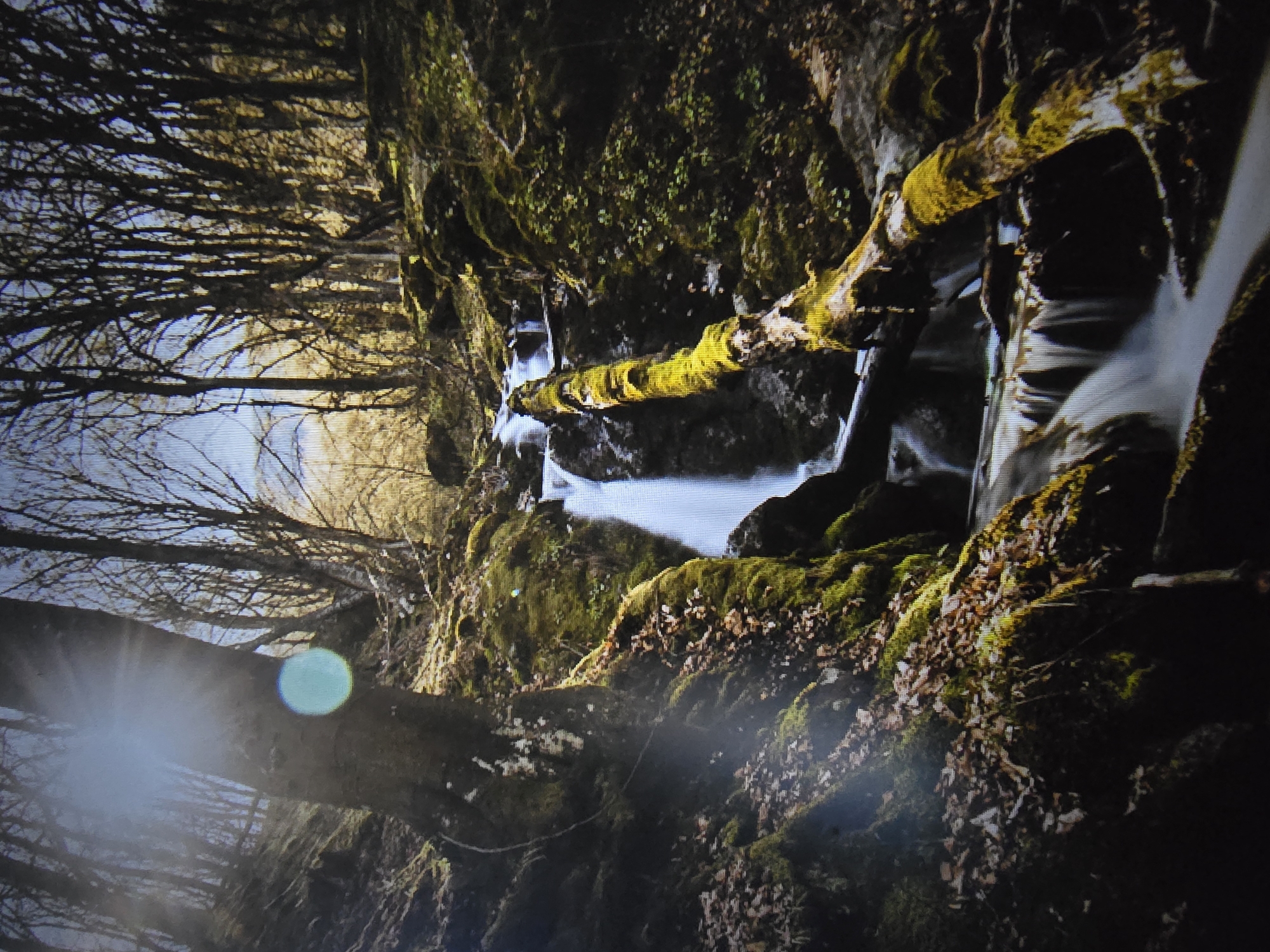 The image depicts a stream flowing through a rocky, moss-covered area in a wooded landscape. A fallen, moss-covered branch extends across the stream. Bare trees are visible in the background under a bright sky. Sunlight filters through the trees, creating lens flares. The location is unknown.
