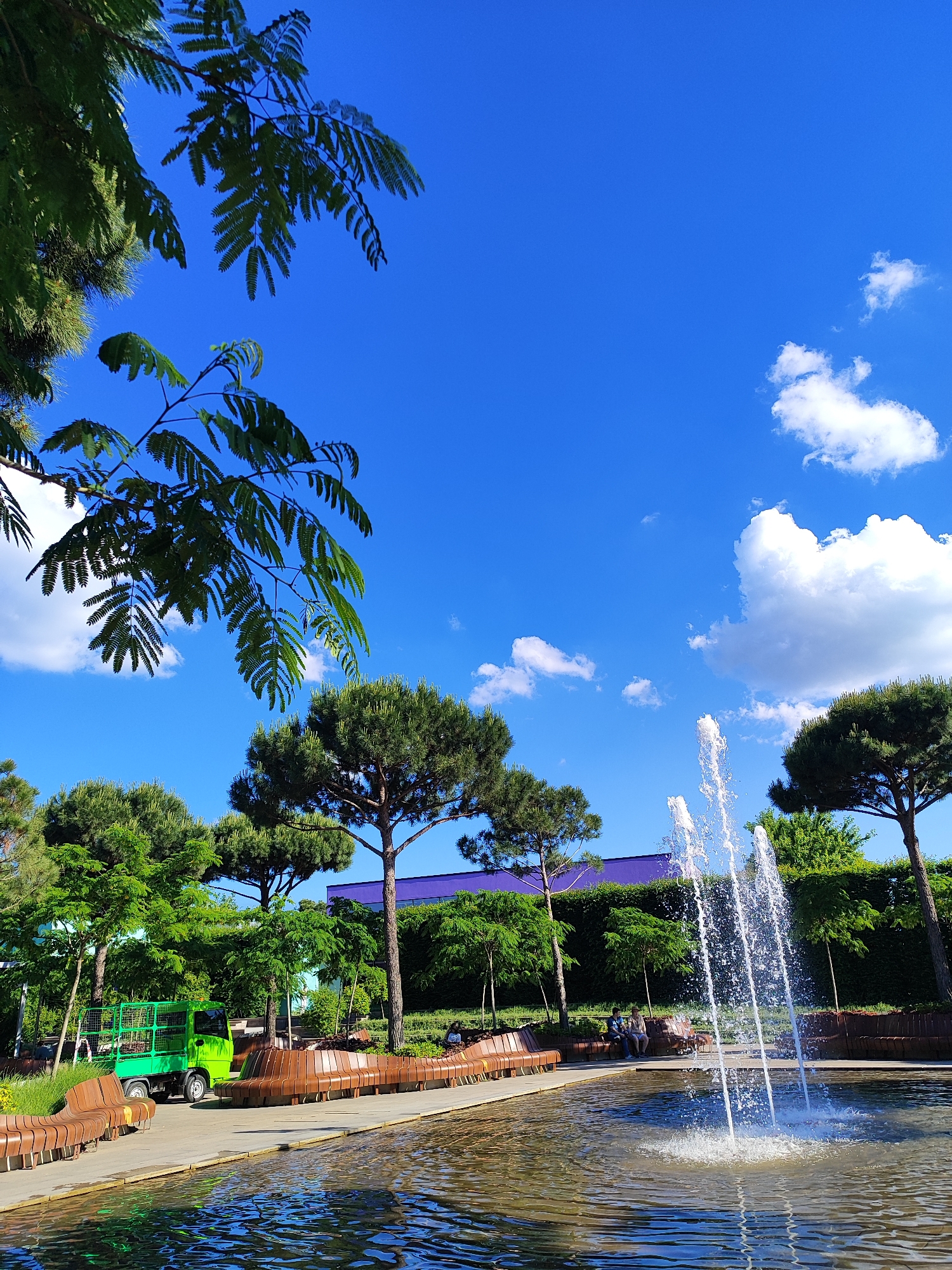 This image depicts a scene within Galitsky Park, Krasnodar, Russia, under a clear blue sky with scattered white cumulus clouds. In the foreground, a large, dark-bottomed water feature, likely a pond or basin, contains an active fountain producing multiple upward jets of water. The water surface shows reflections of the sky and surrounding greenery.
To the left and curving around the water feature is a light-colored paved pathway, alongside which several distinctive, curved, slatted wooden benches are arranged. On these benches, several individuals are seated; specifically, two people are visible in the mid-distance on a bench to the right of the fountain, and more are scattered further back.
Various trees are present throughout the park landscape. Large, mature evergreen trees with rounded canopies (resembling umbrella pines) are prominent in the midground and background, particularly on the right side. Smaller, deciduous trees with lighter green foliage and manicured hedges are also visible. Overhanging the upper left portion of the frame are branches with small, compound leaves, possibly from an Acacia or Mimosa tree.
In the midground on the left, a bright green utility vehicle, resembling a small truck with a caged bed, is parked on a paved section, appearing to carry cargo. In the background, partially obscured by trees, a modern building with a distinct purple upper facade or roof is visible. The scene is brightly illuminated by natural sunlight, casting clear shadows and highlighting the vibrant colors of the vegetation and sky.